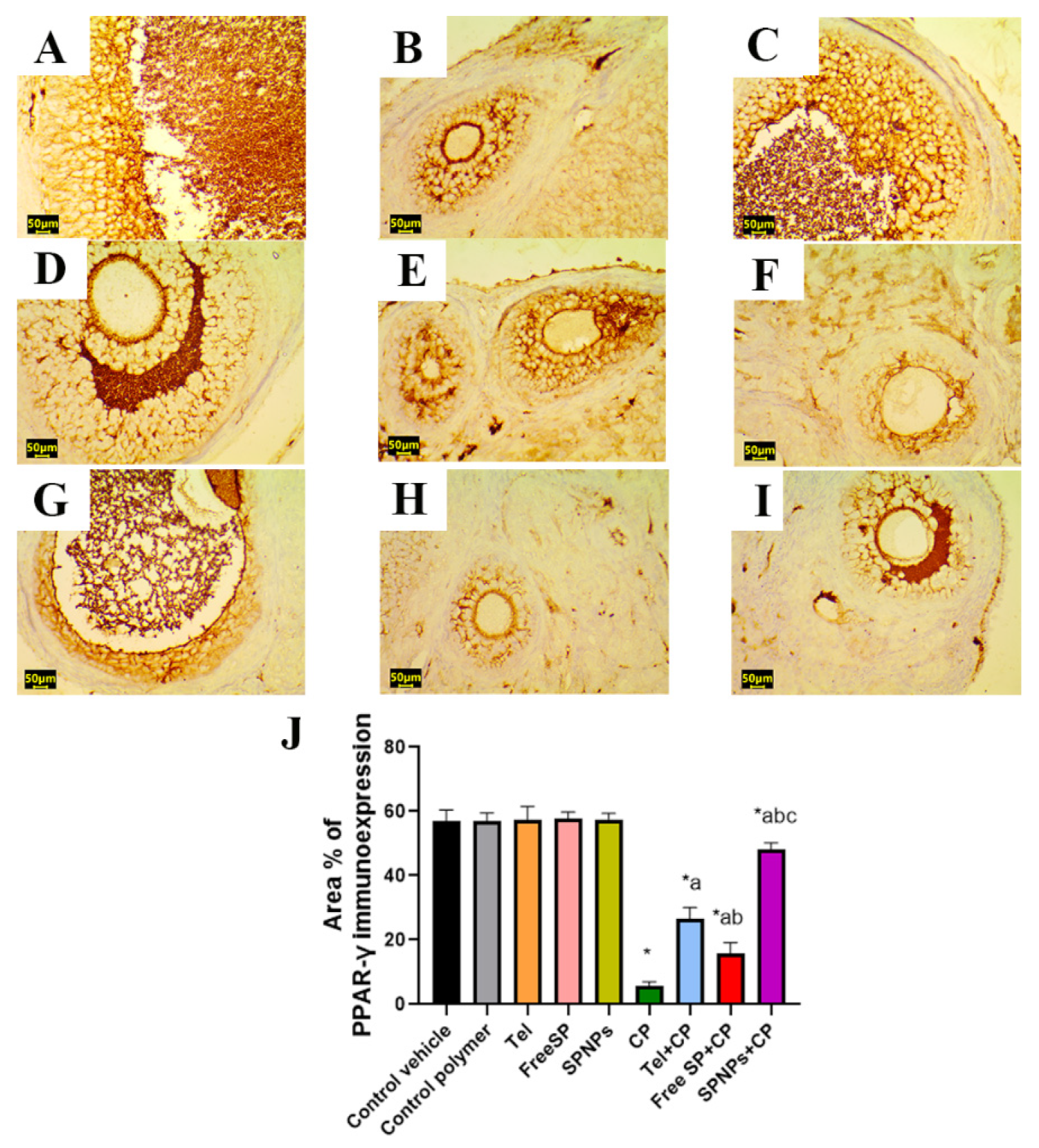 Marinedrugs 22 00395 g013 Marinedrugs 22 00395 g013