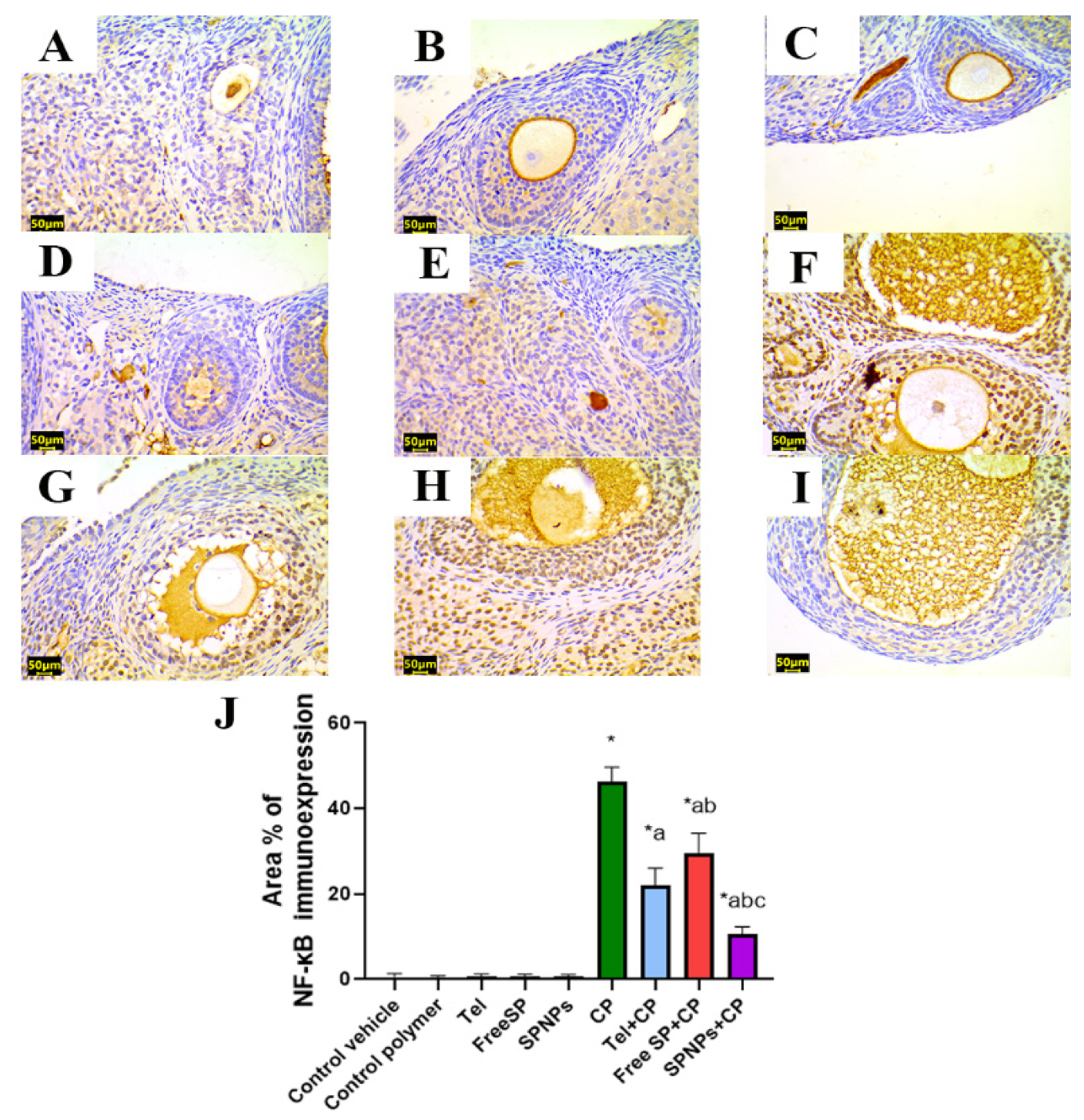 Marinedrugs 22 00395 g014 Marinedrugs 22 00395 g014