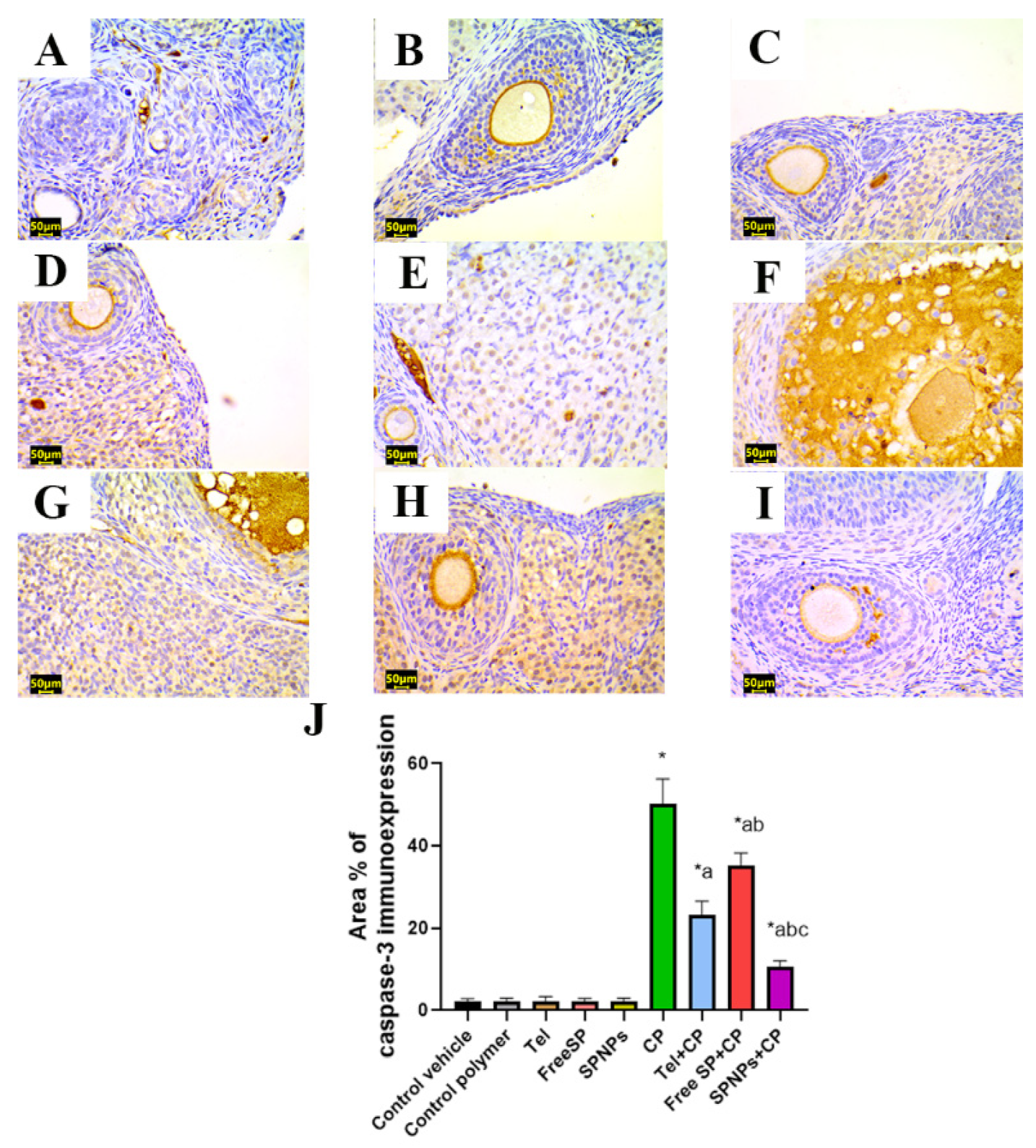 Marinedrugs 22 00395 g016 Marinedrugs 22 00395 g016