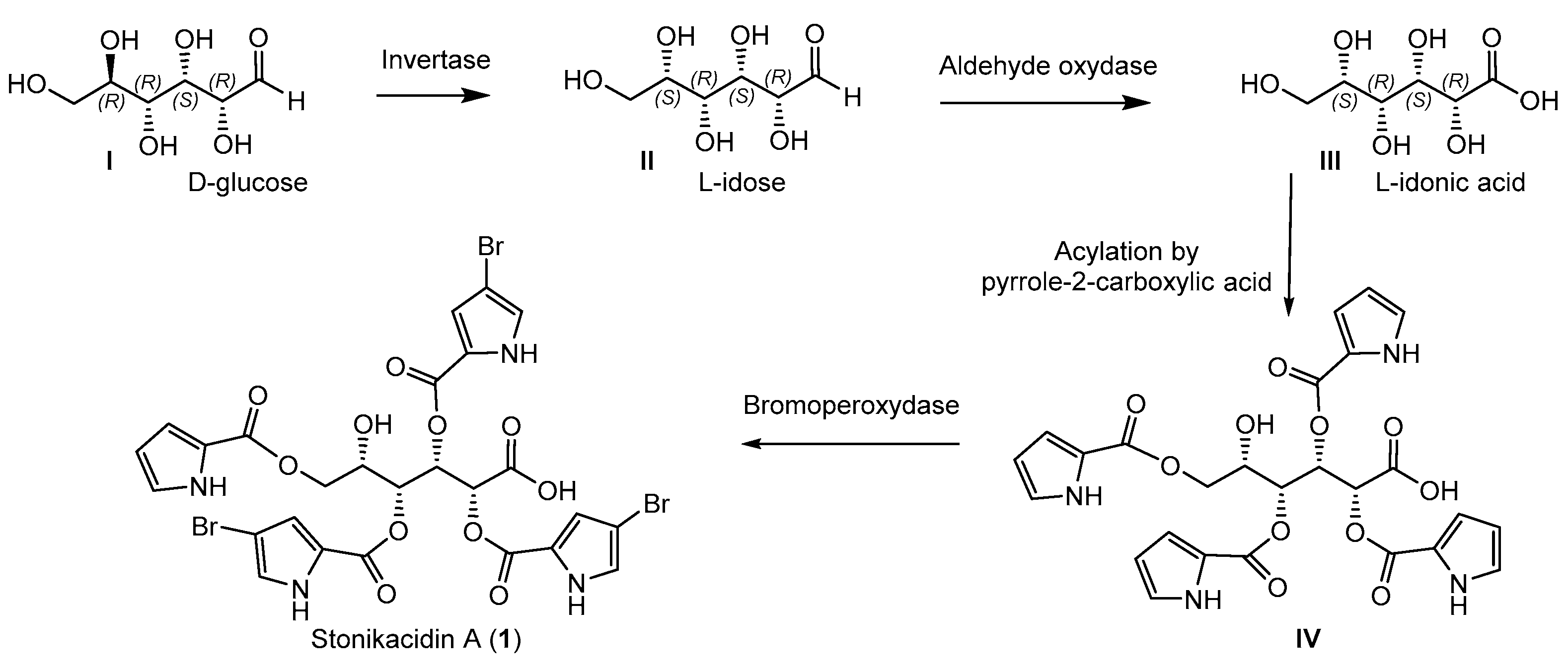 Marinedrugs 22 00396 sch002