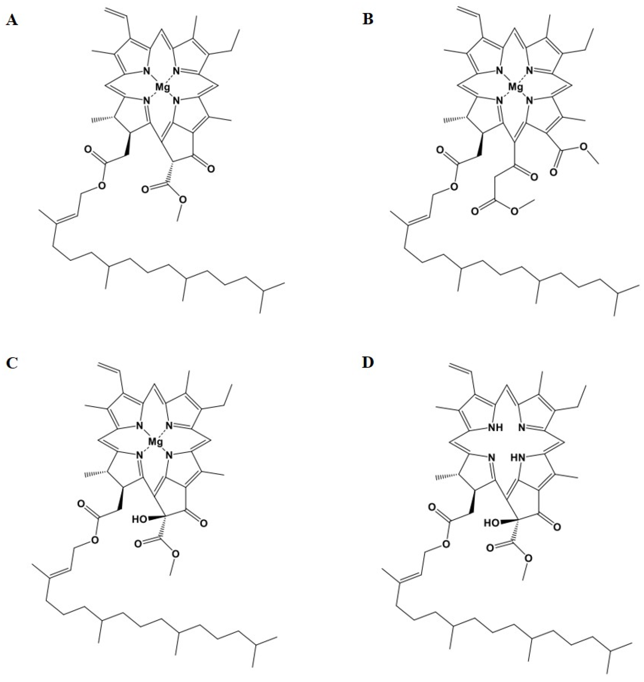 Marinedrugs 22 00397 g007