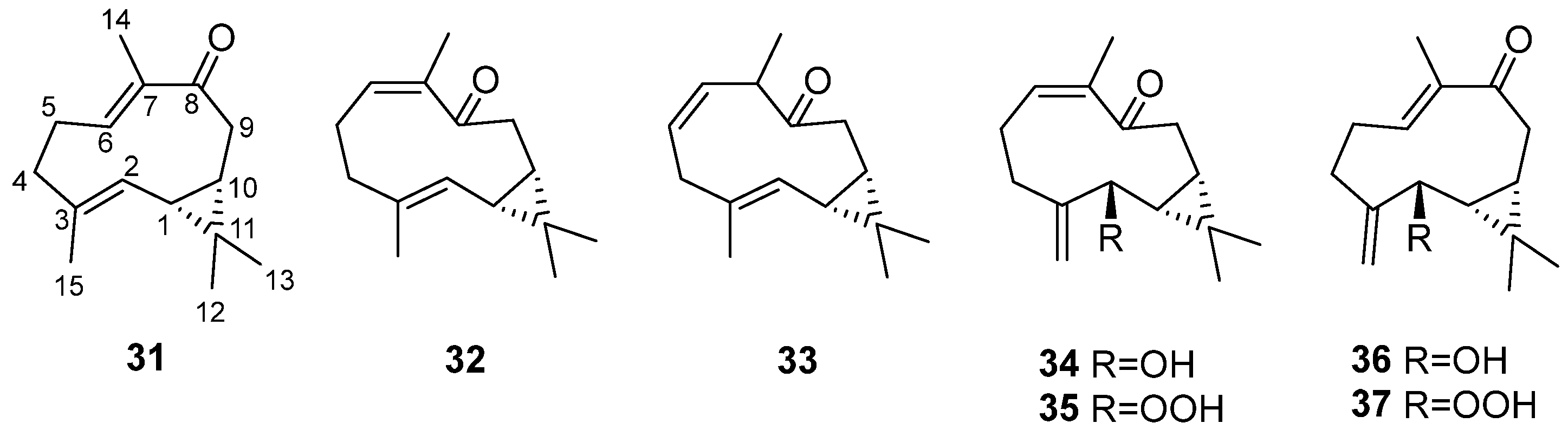 Marinedrugs 22 00402 g006