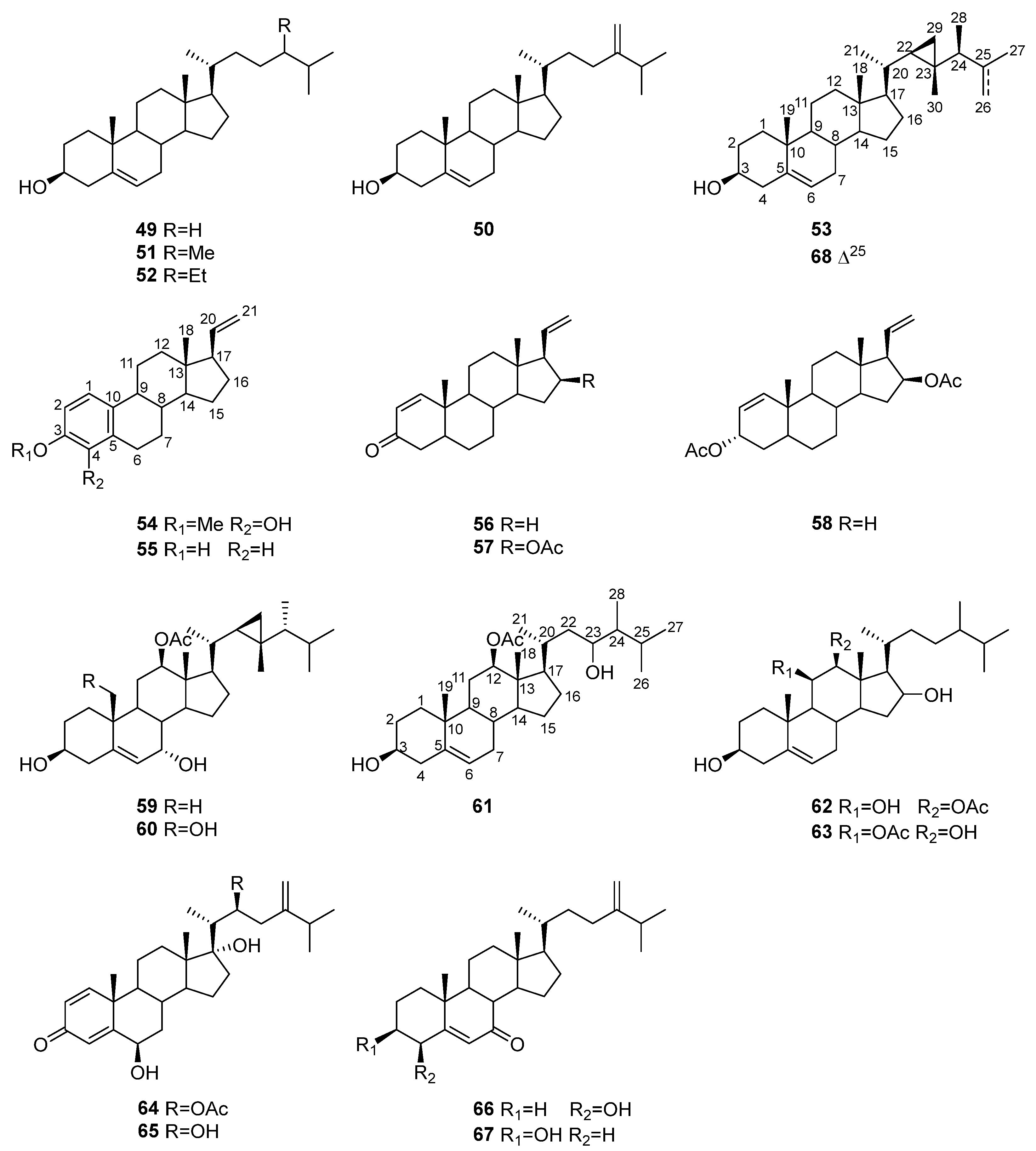 Marinedrugs 22 00402 g013