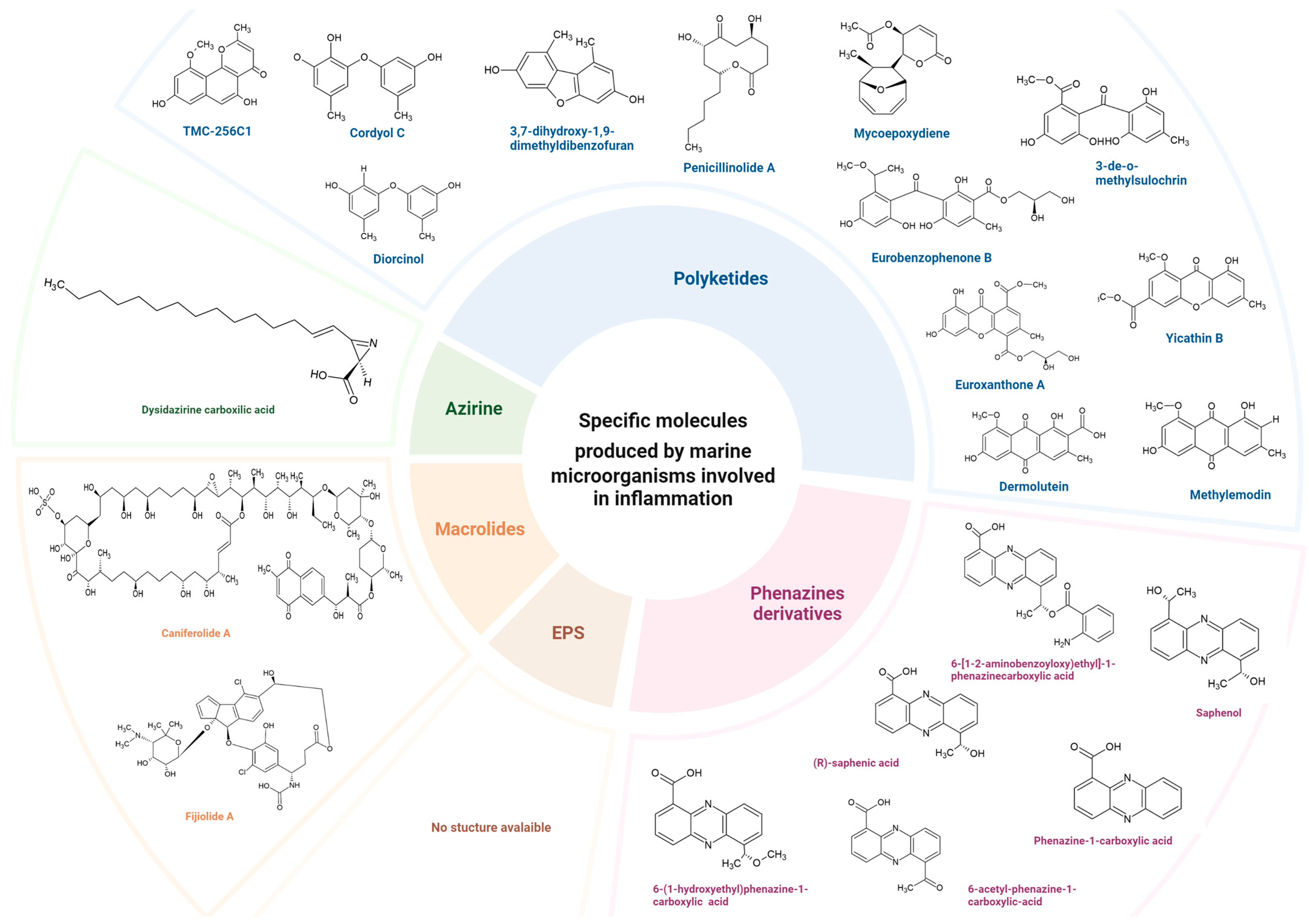 Marinedrugs 22 00405 g002