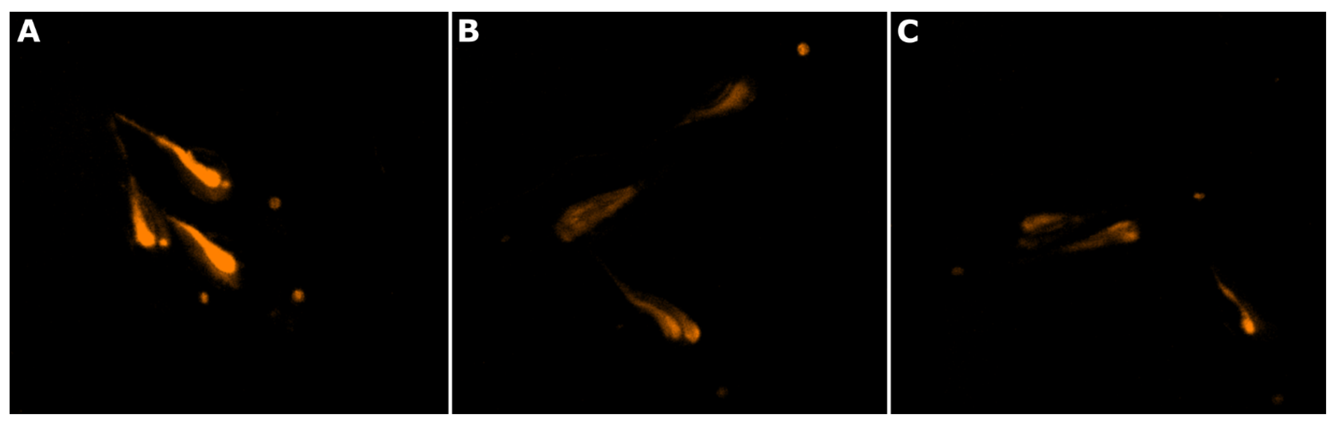 Marinedrugs 22 00412 g003