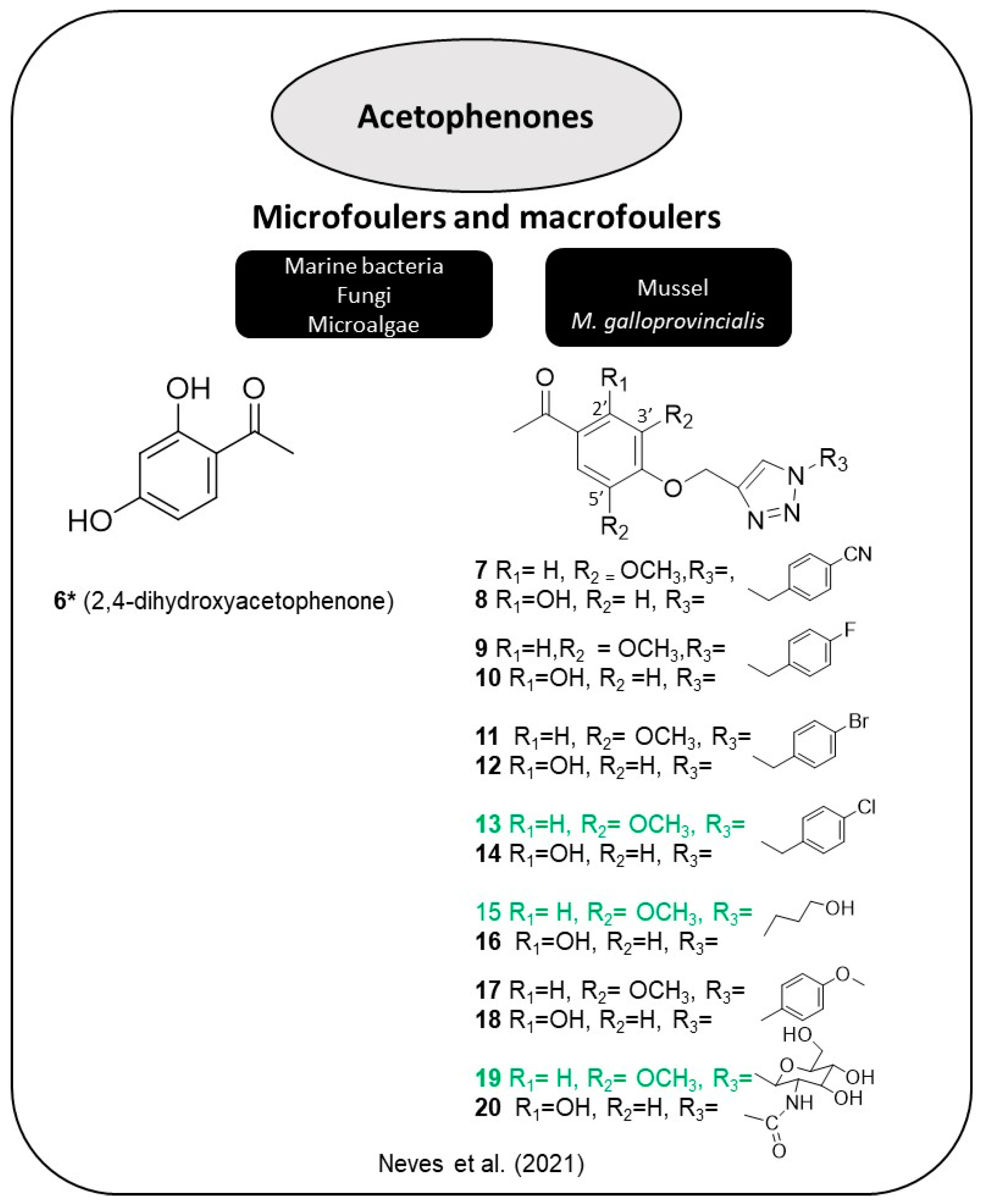 Marinedrugs 22 00416 g008