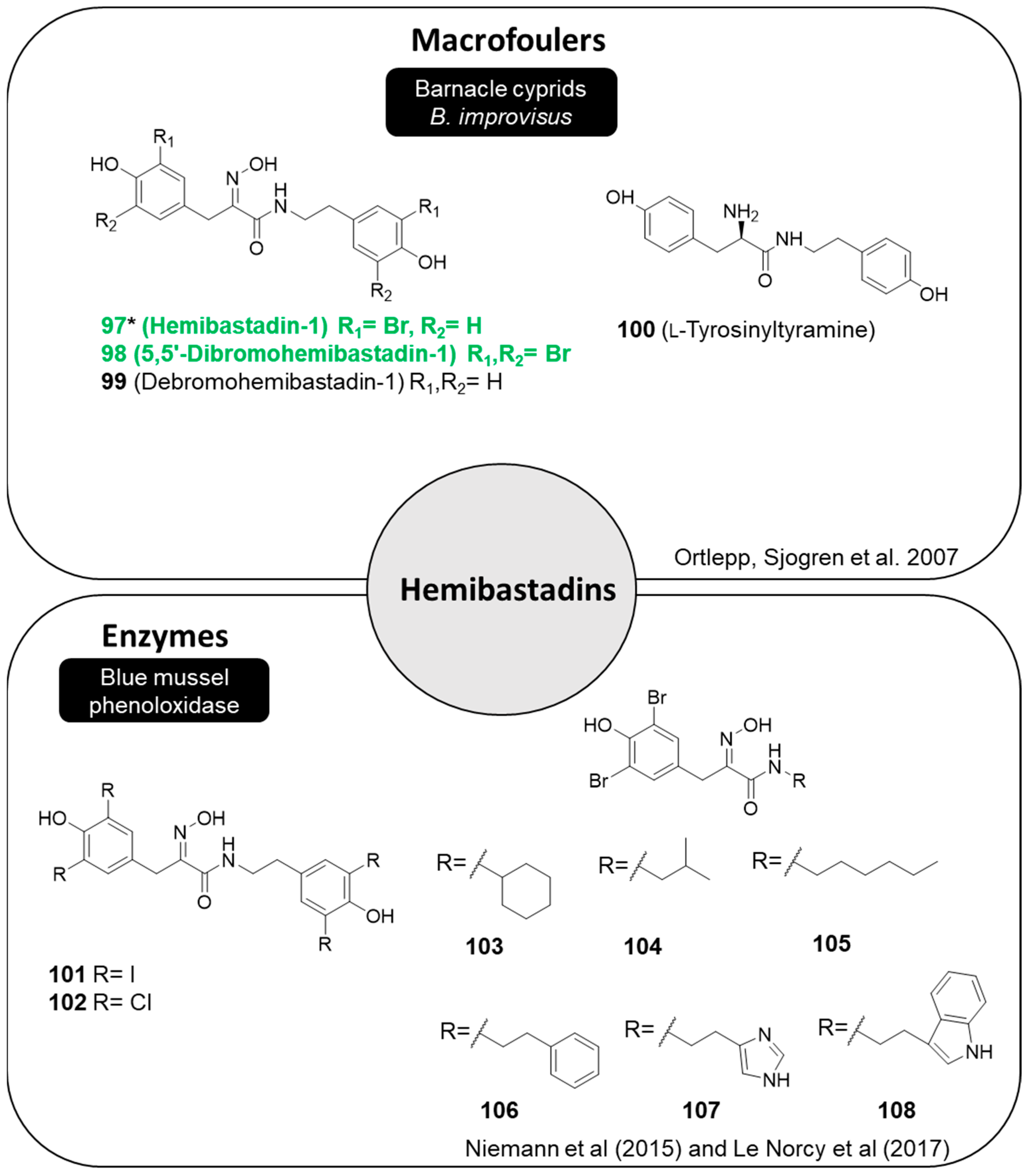 Marinedrugs 22 00416 g014