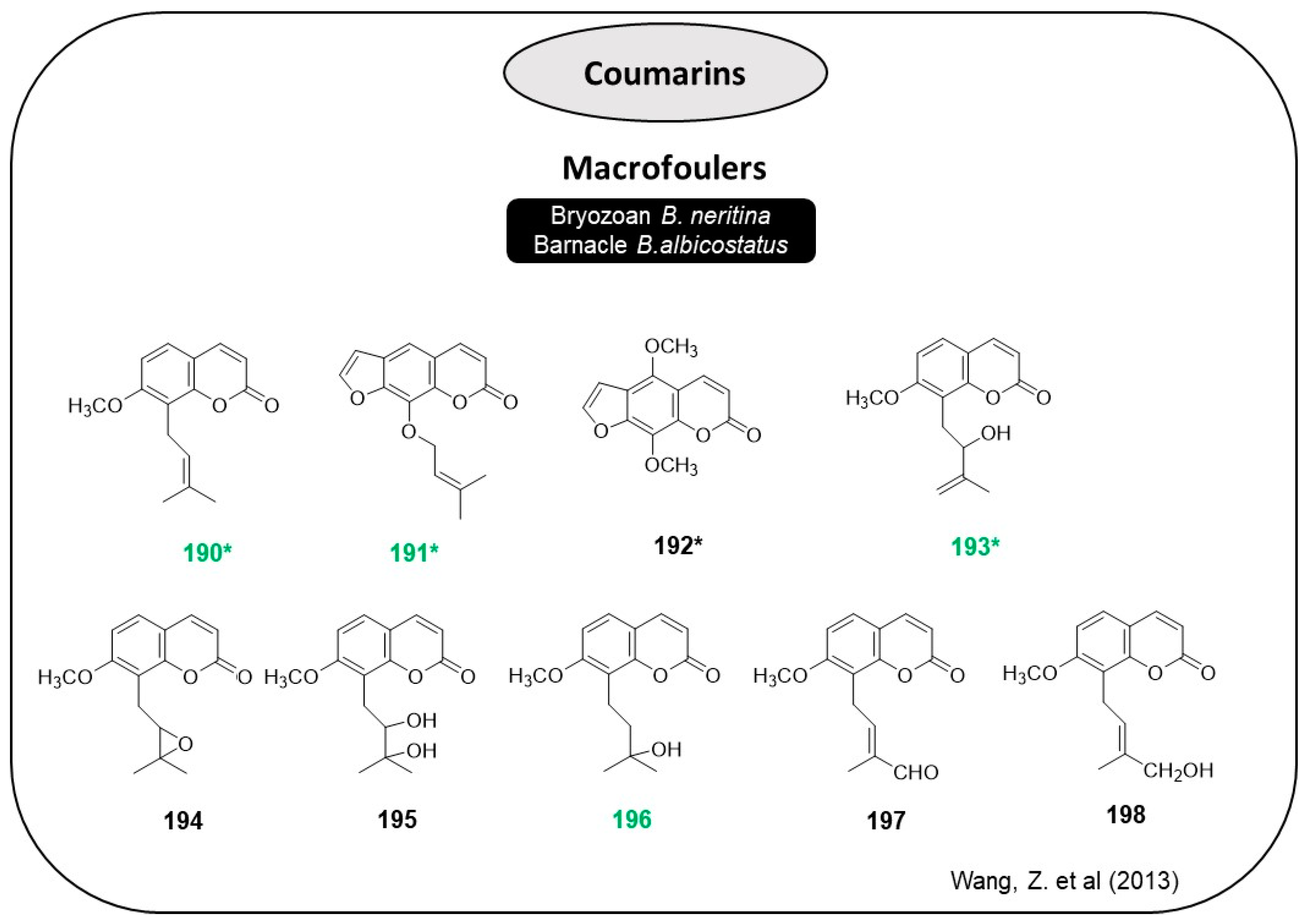 Marinedrugs 22 00416 g016