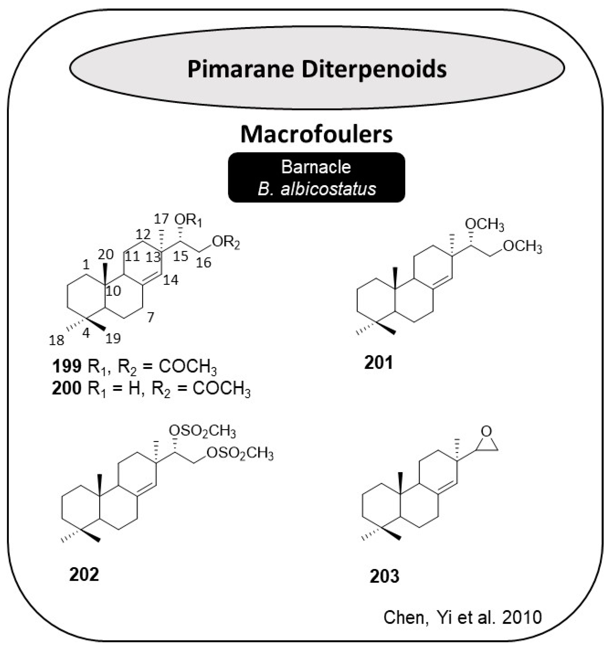 Marinedrugs 22 00416 g017