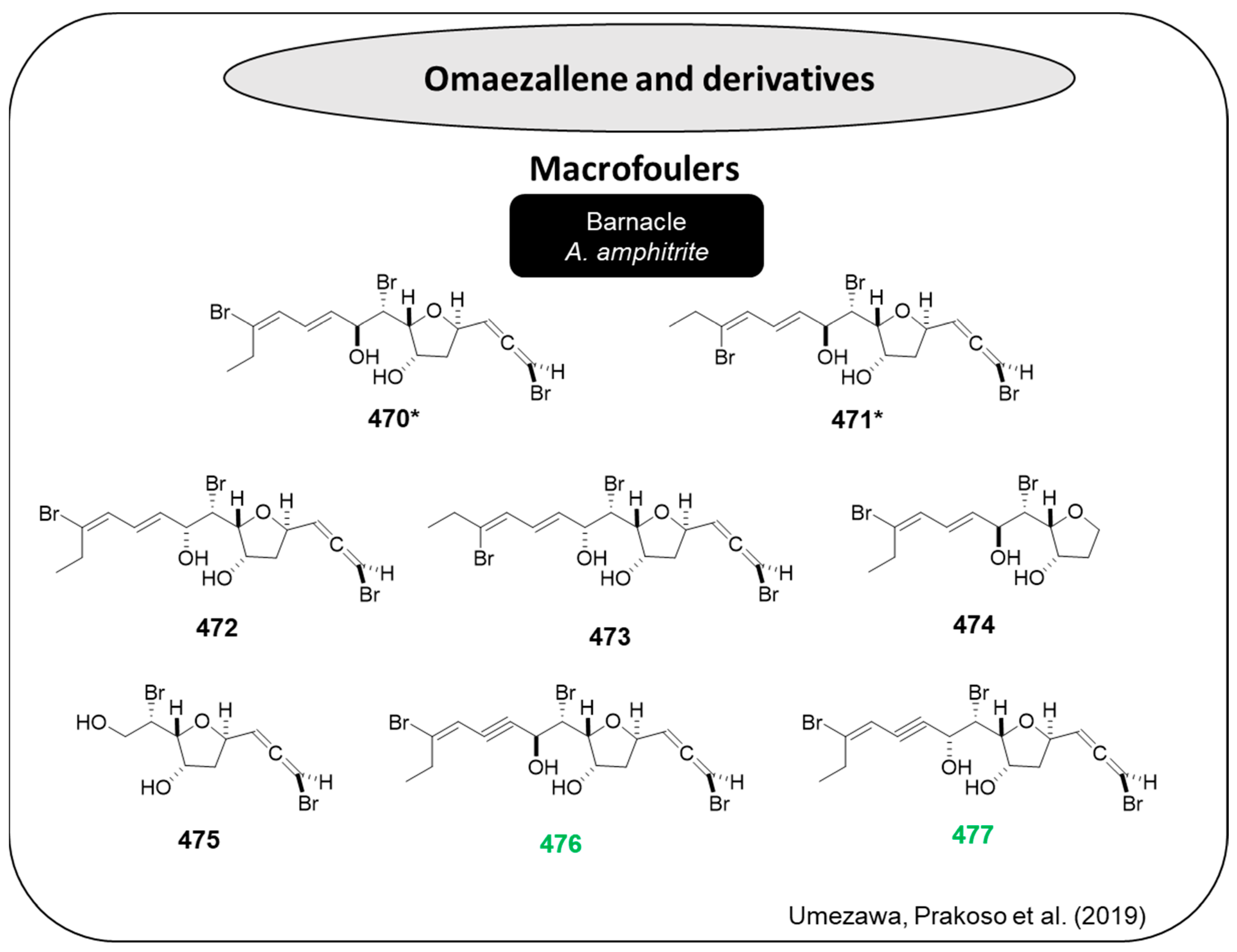 Marinedrugs 22 00416 g024