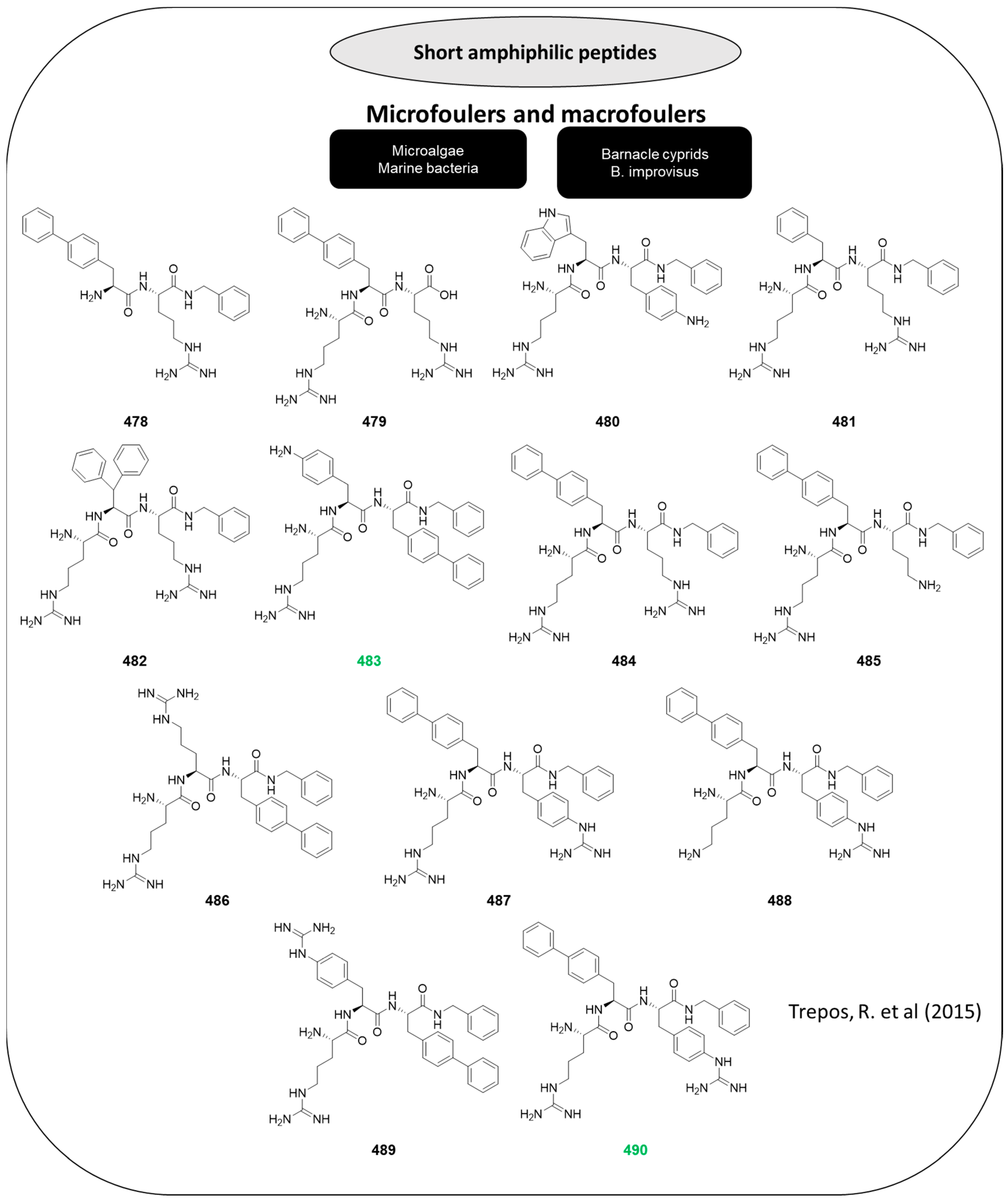 Marinedrugs 22 00416 g025