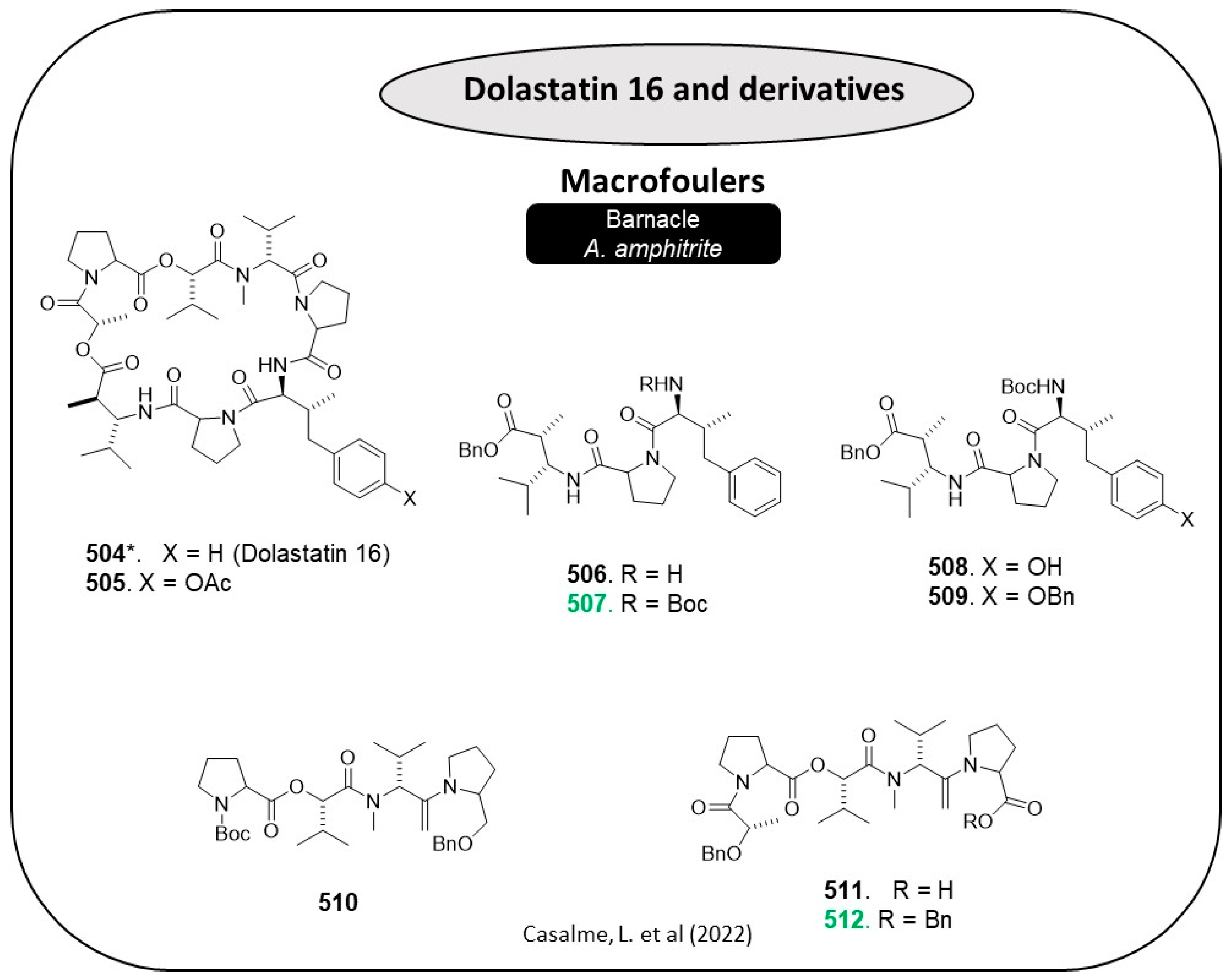 Marinedrugs 22 00416 g027