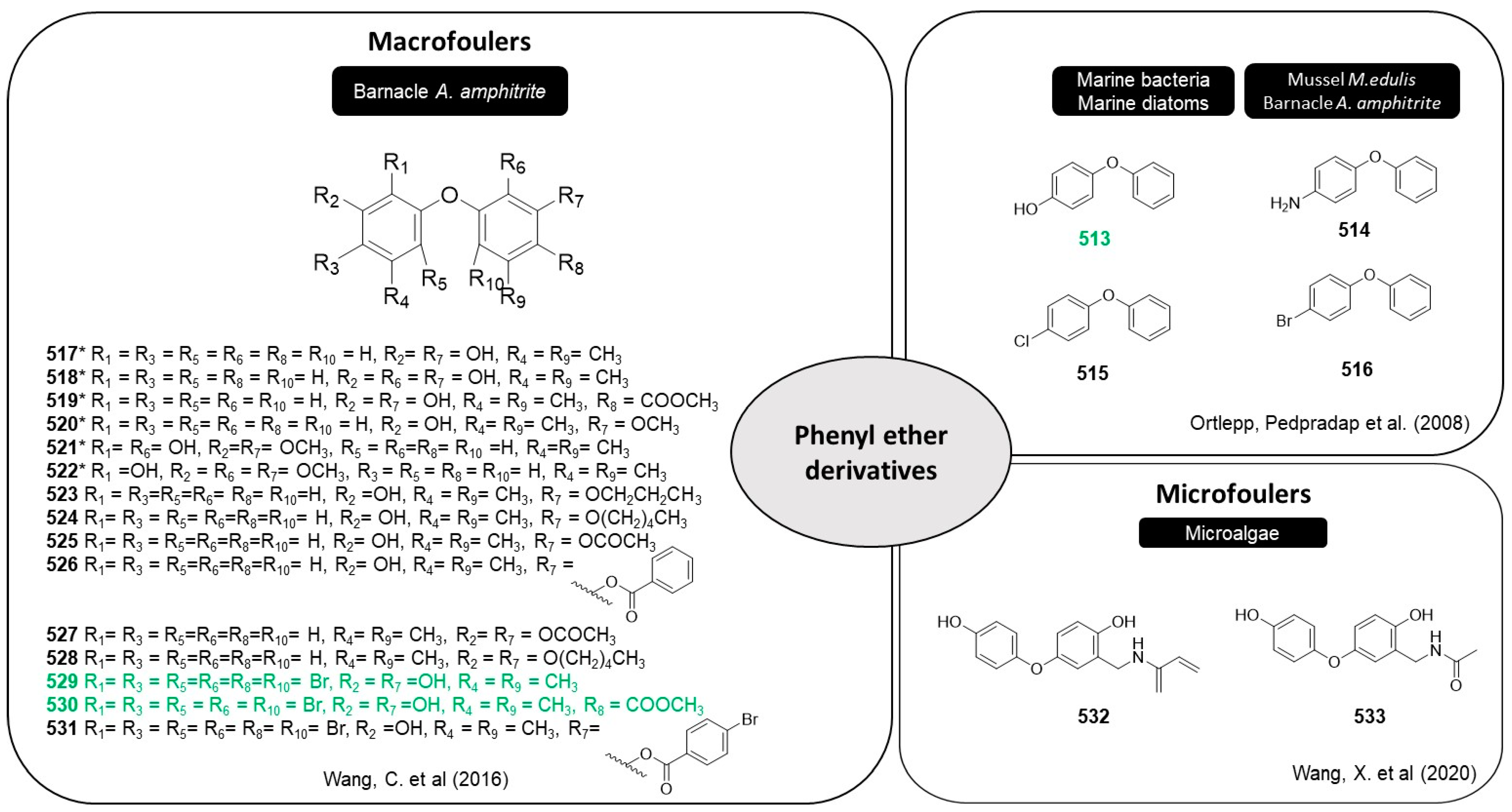 Marinedrugs 22 00416 g028