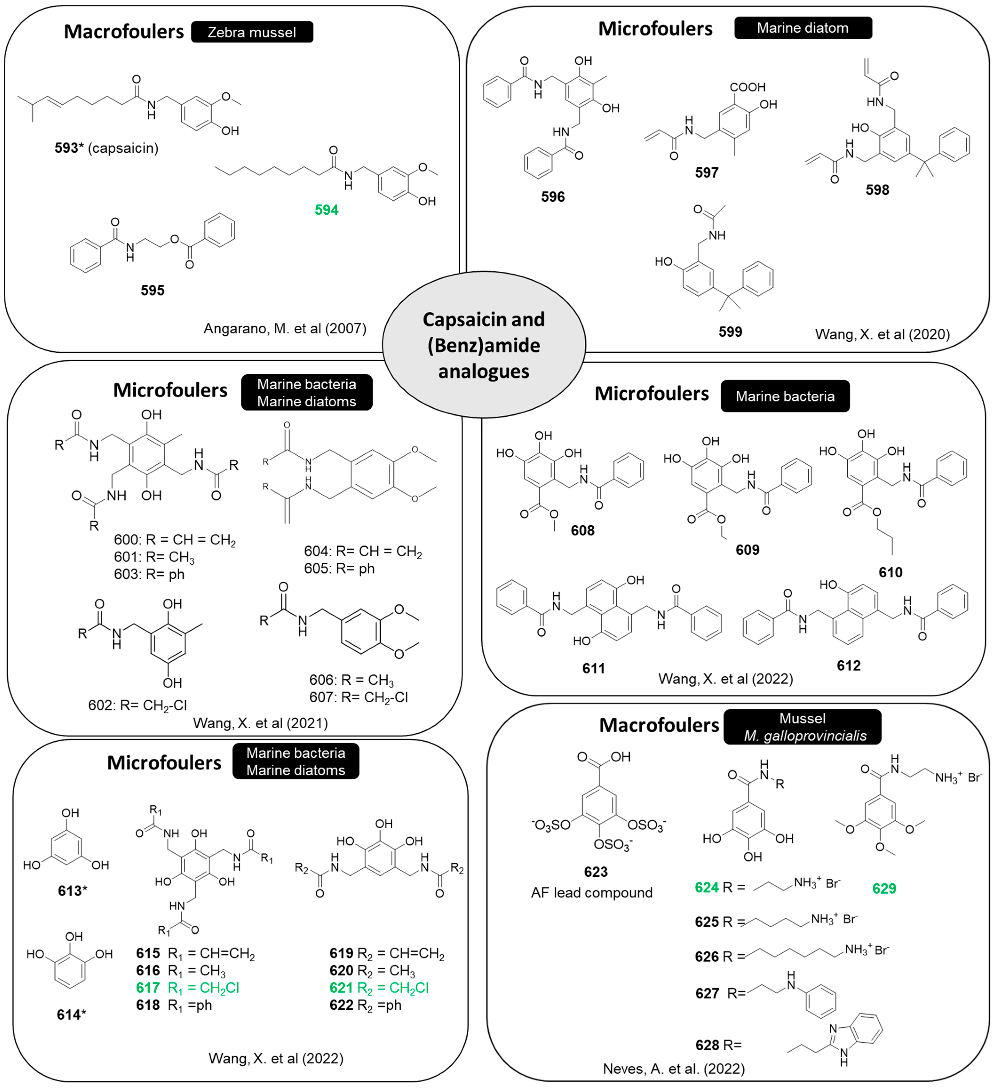 Marinedrugs 22 00416 g031