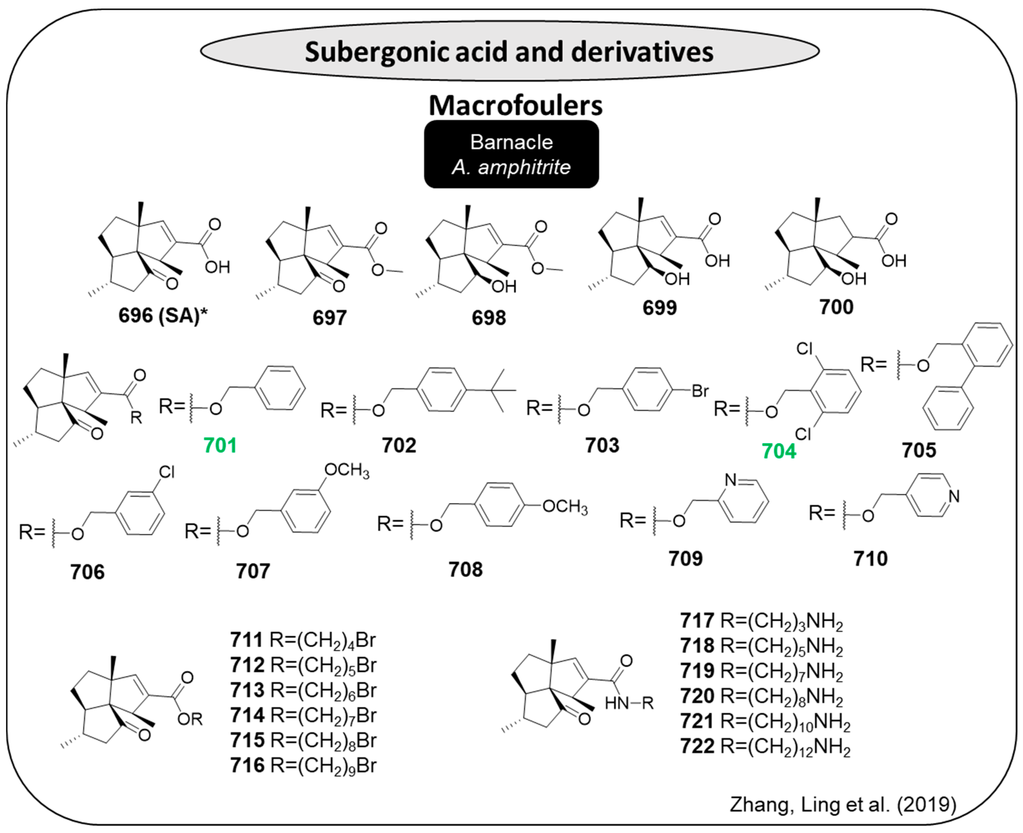 Marinedrugs 22 00416 g036