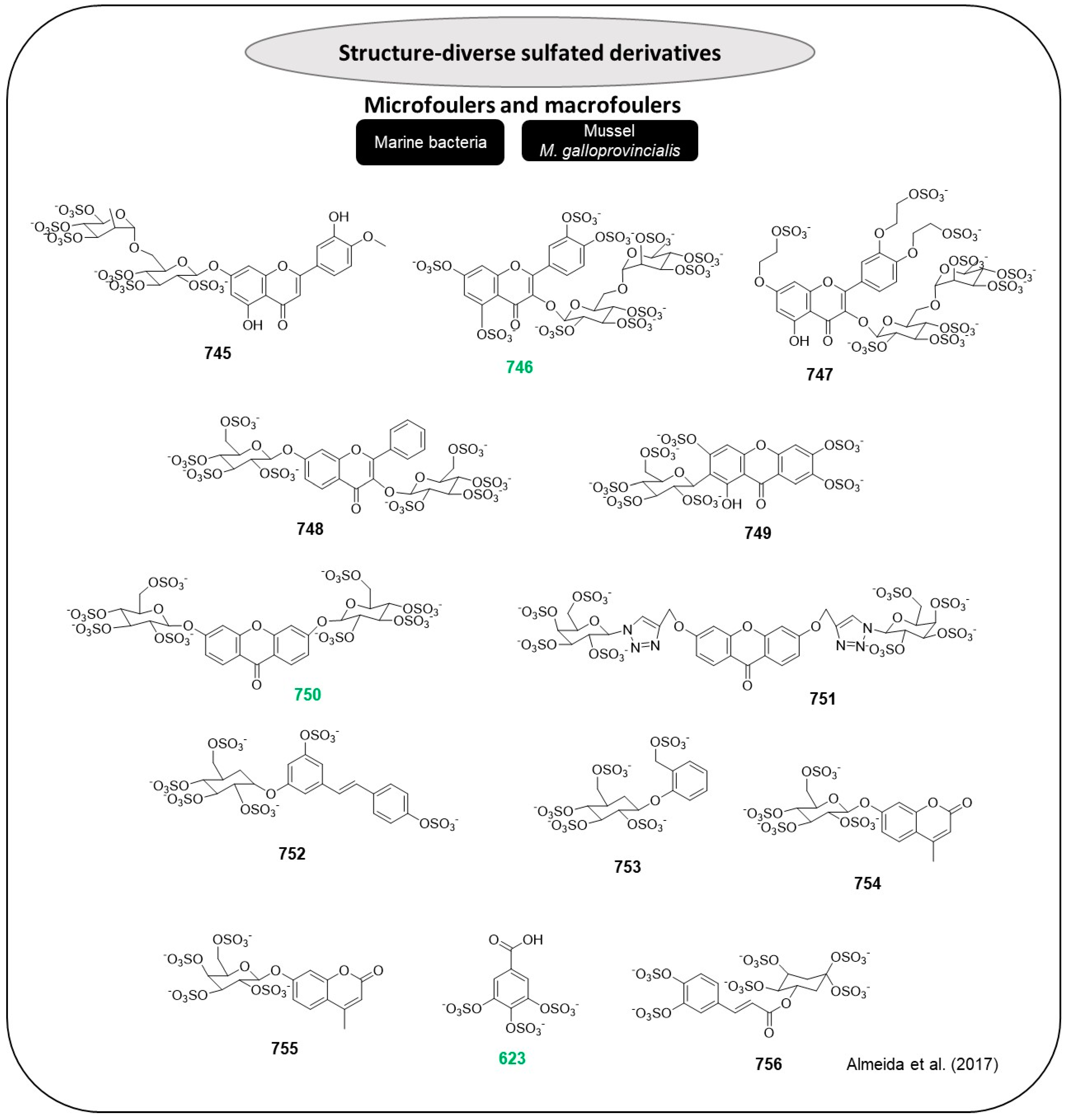 Marinedrugs 22 00416 g038