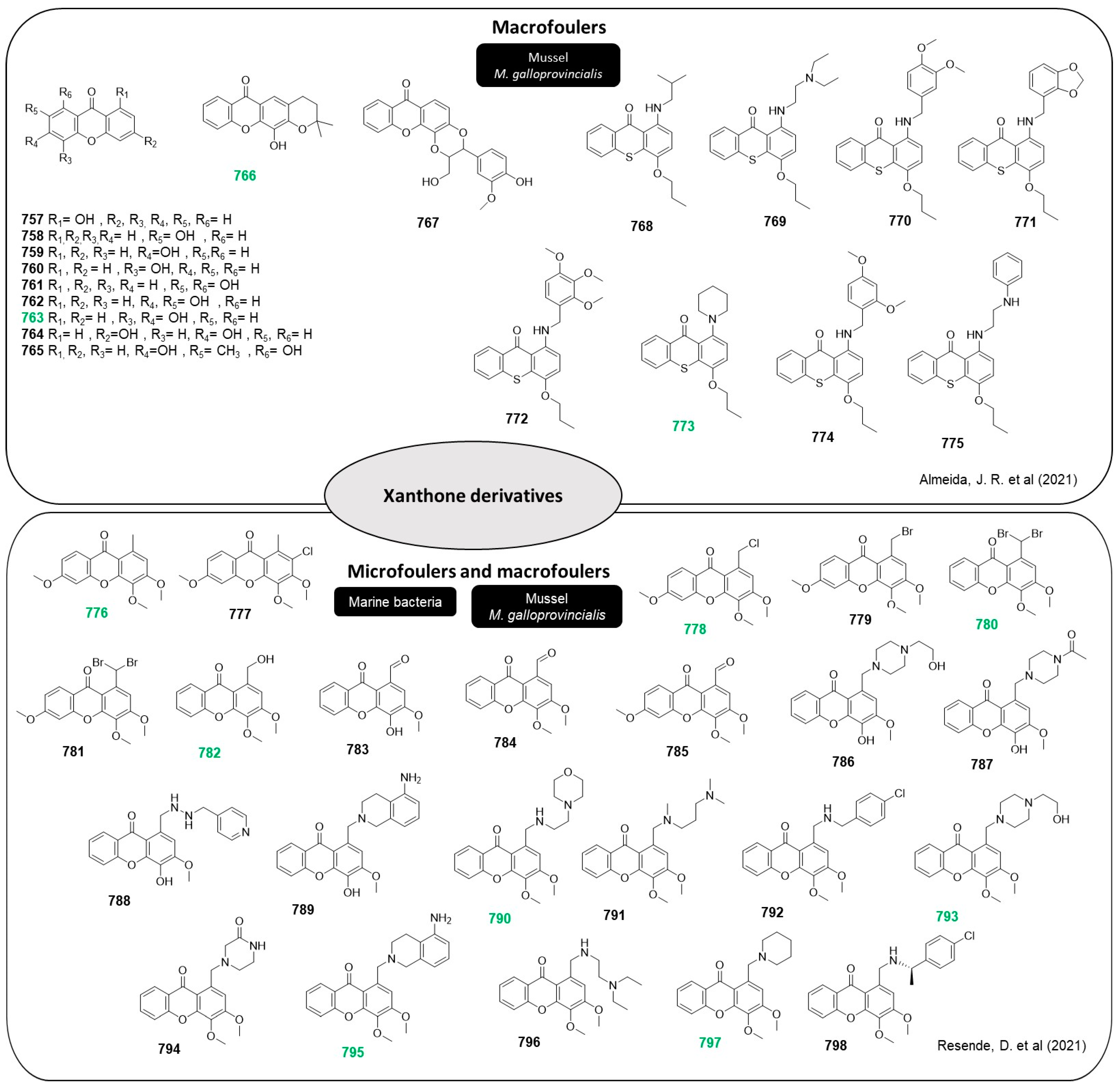 Marinedrugs 22 00416 g039