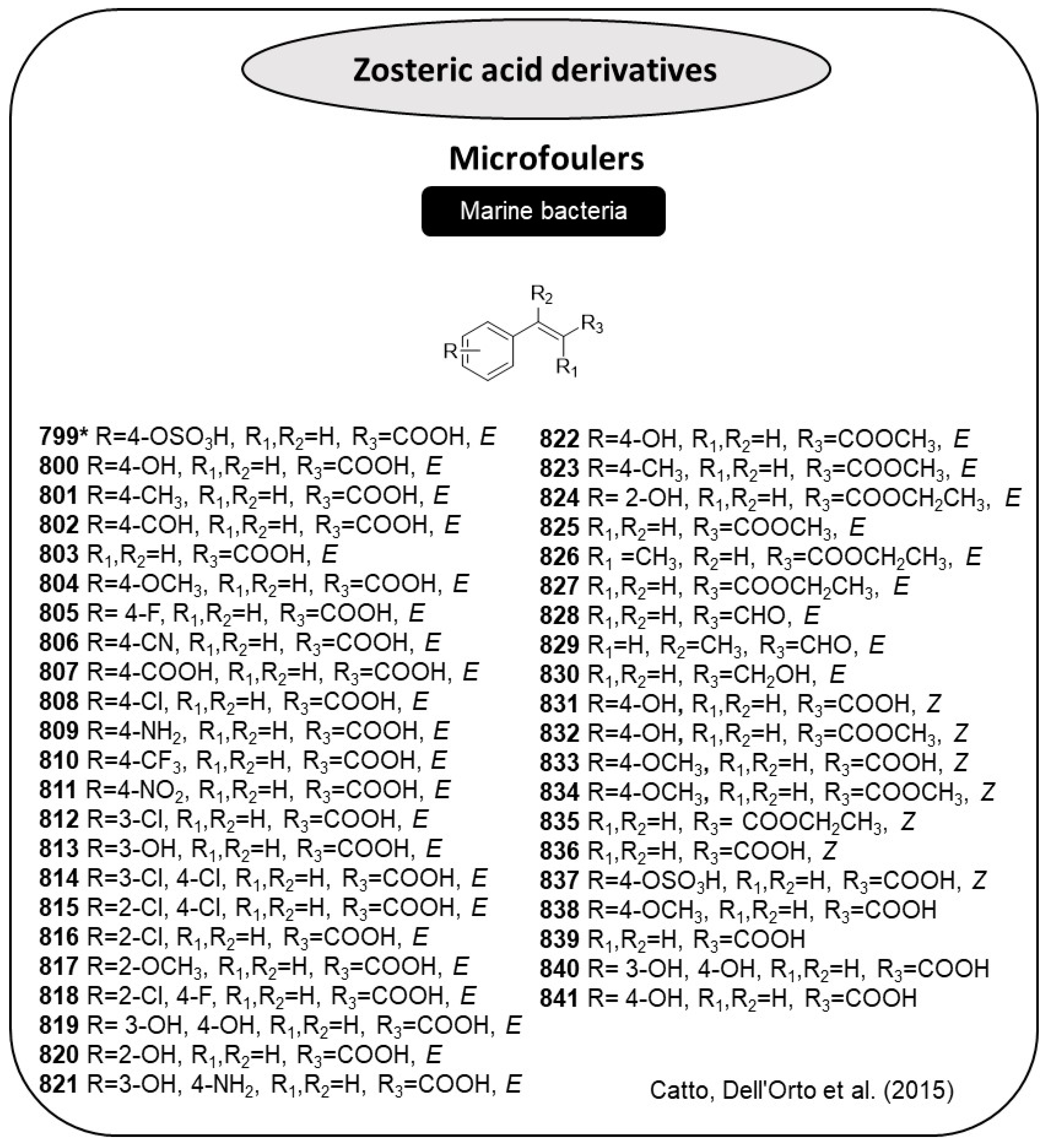 Marinedrugs 22 00416 g040