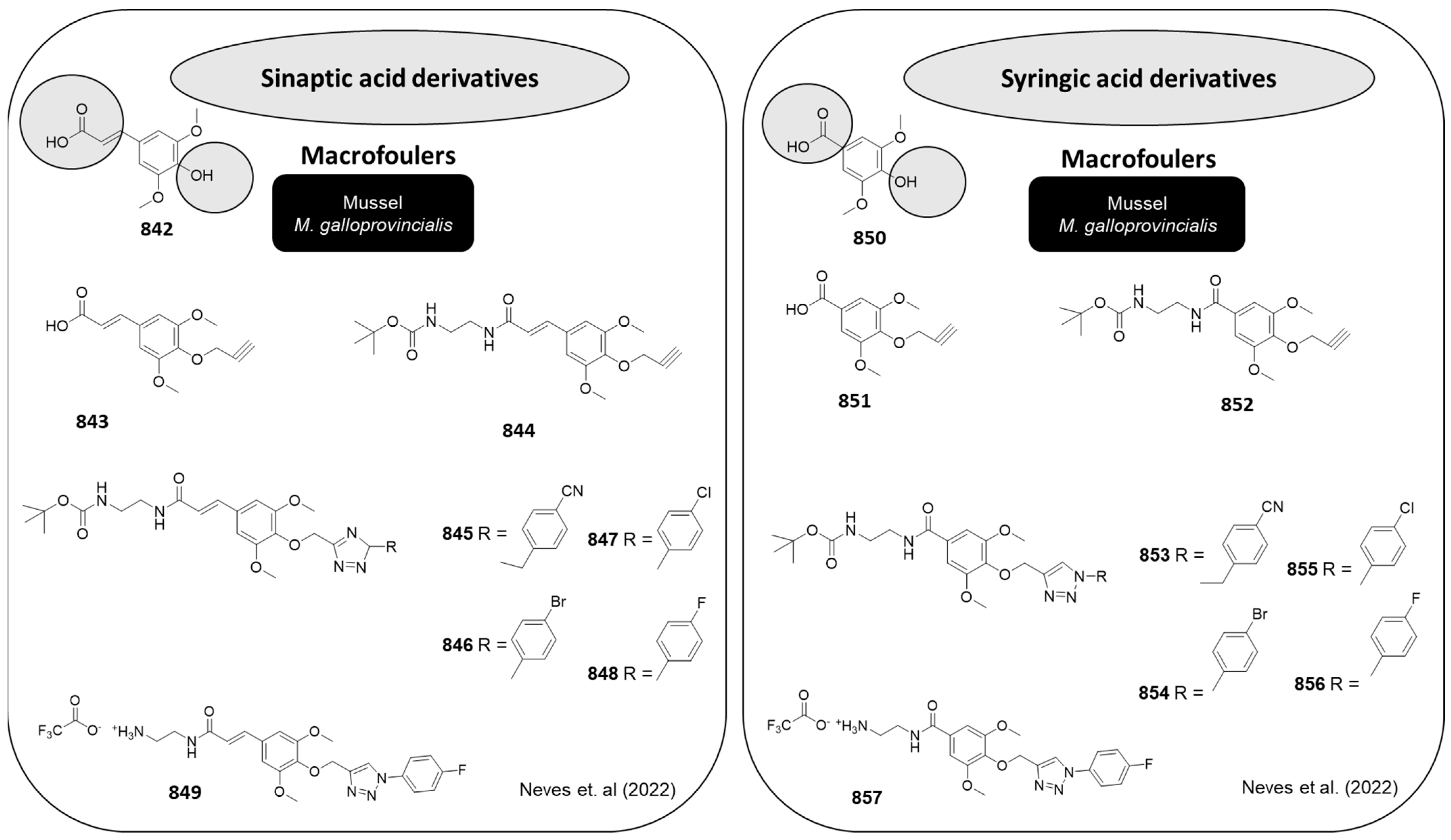 Marinedrugs 22 00416 g041