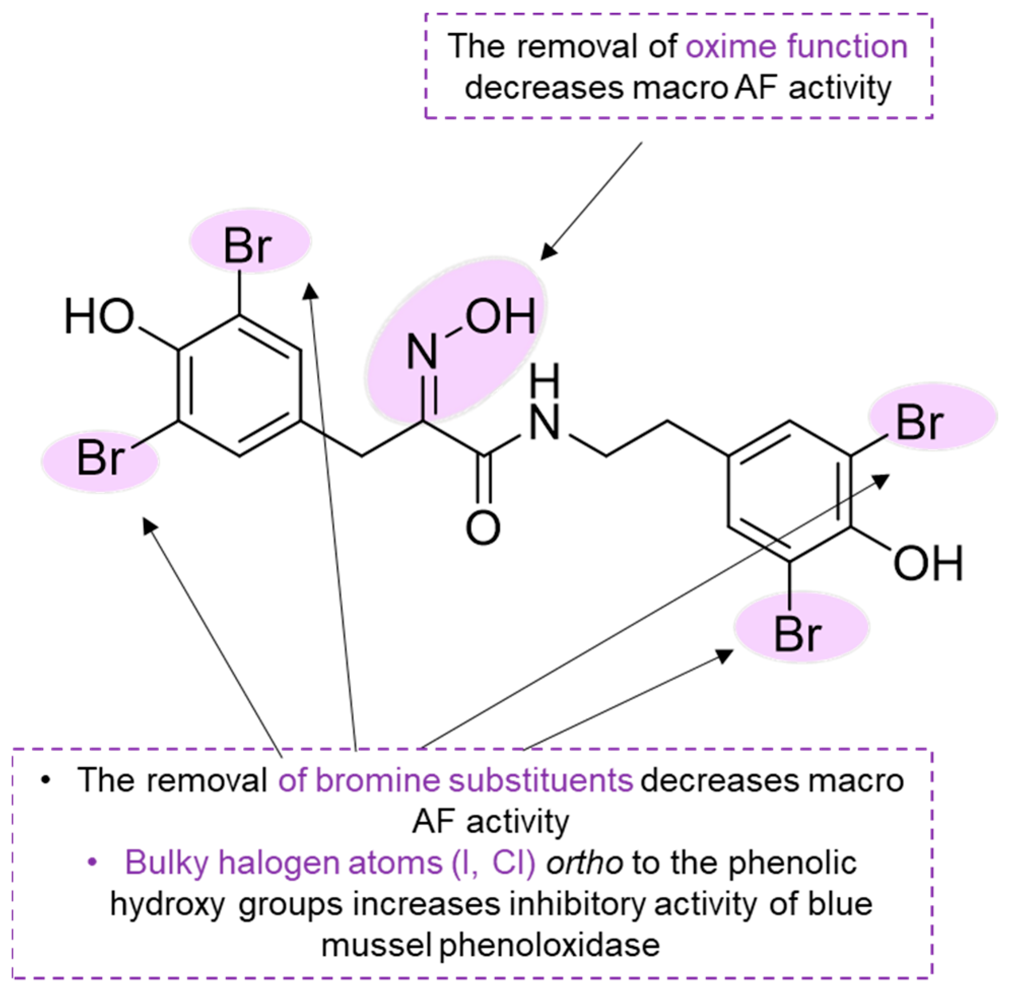 Marinedrugs 22 00416 sch005