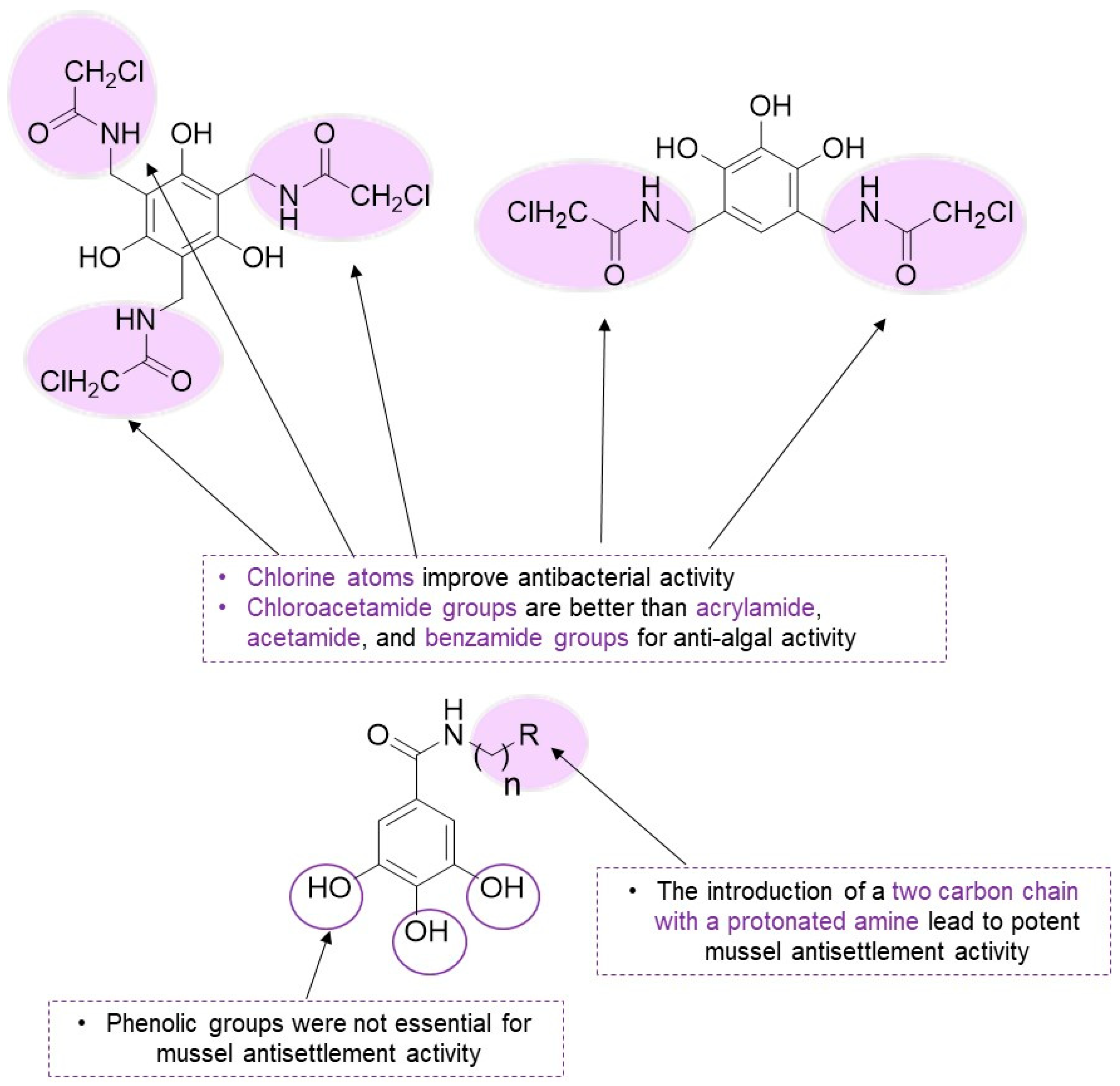 Marinedrugs 22 00416 sch015