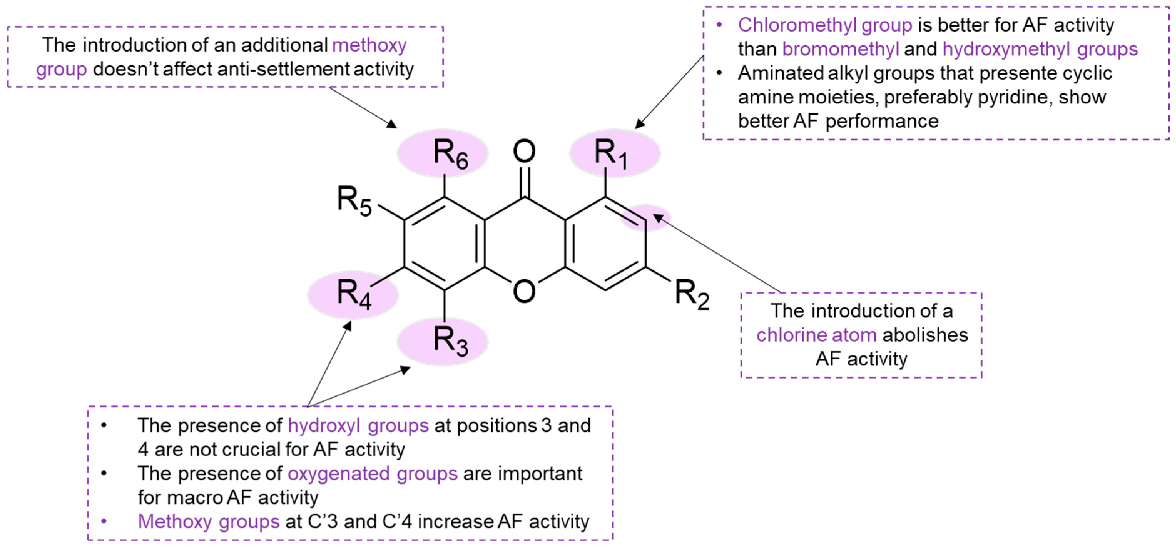 Marinedrugs 22 00416 sch017