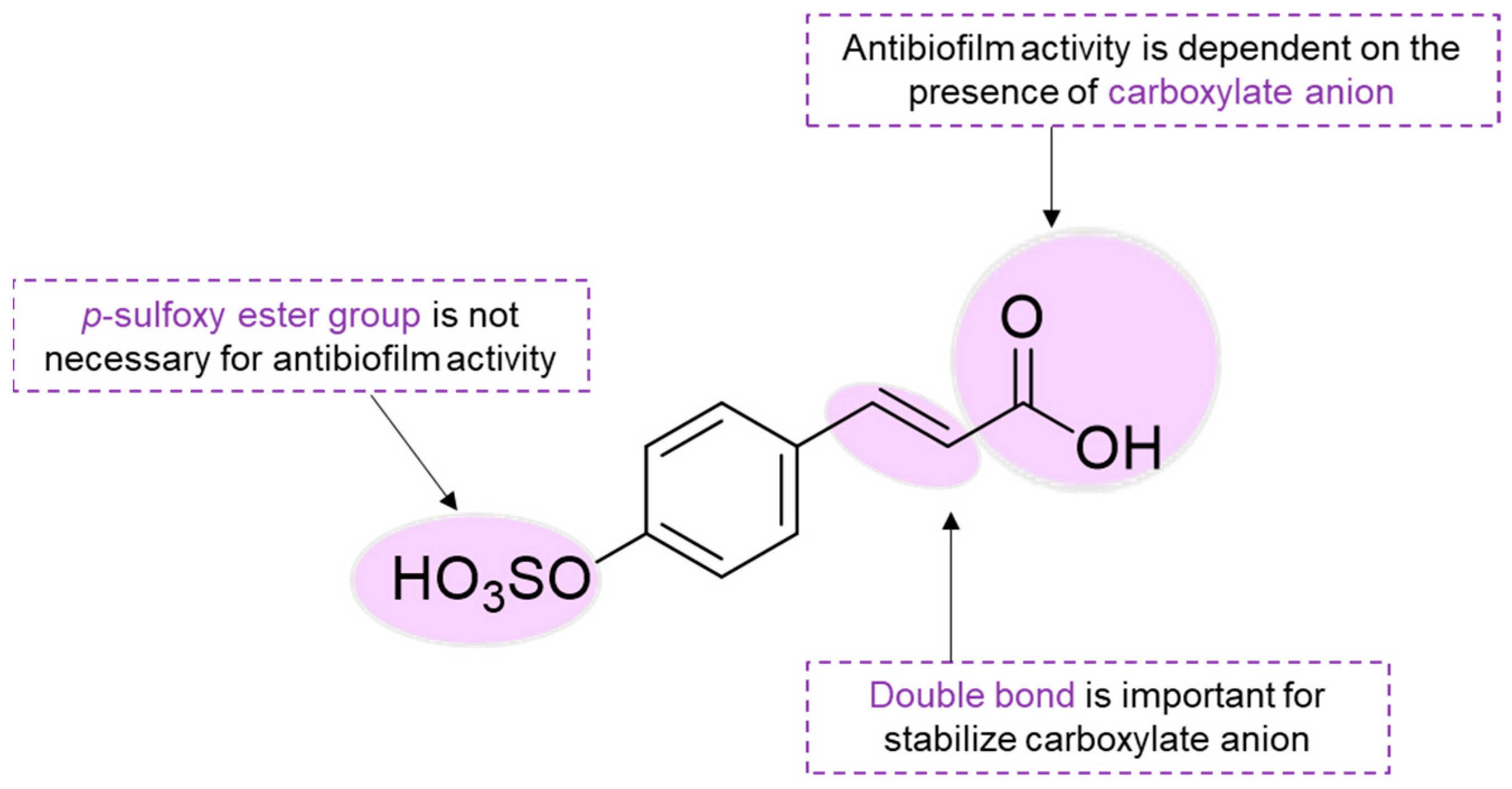 Marinedrugs 22 00416 sch018