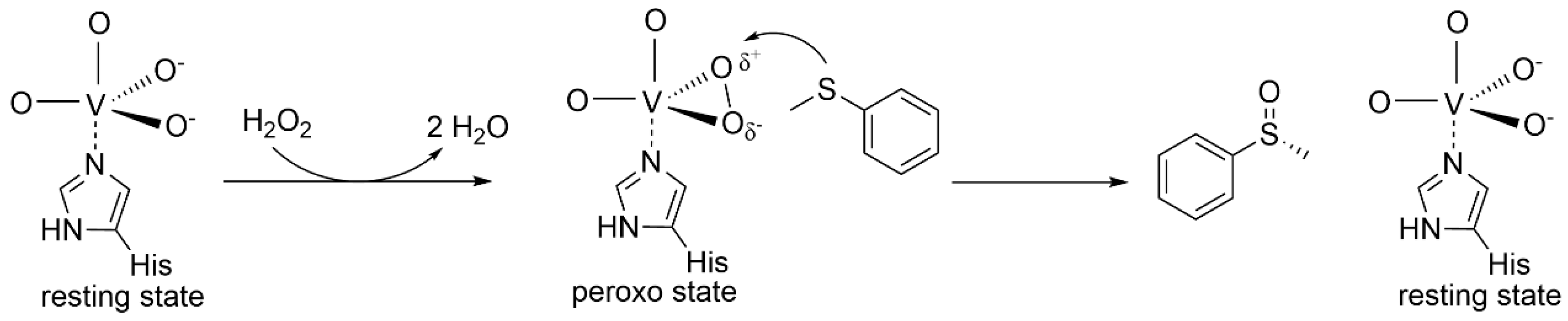 Marinedrugs 22 00419 sch001