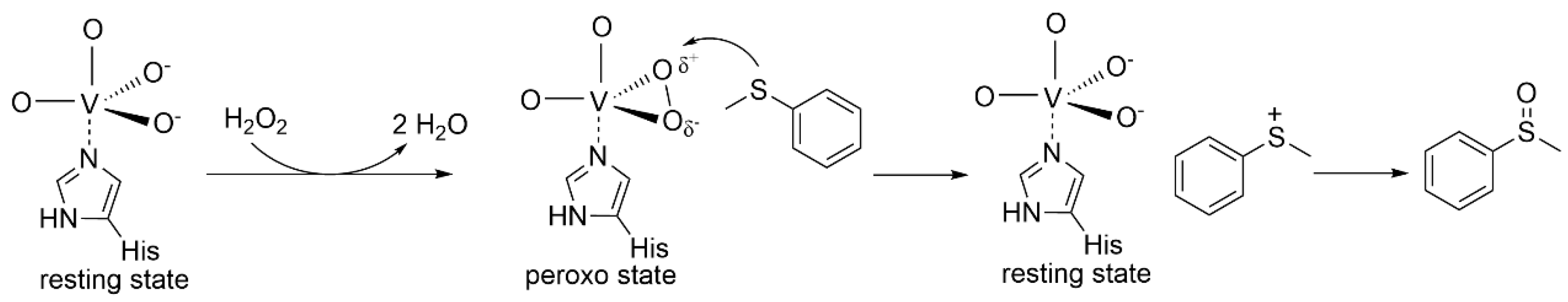 Marinedrugs 22 00419 sch002