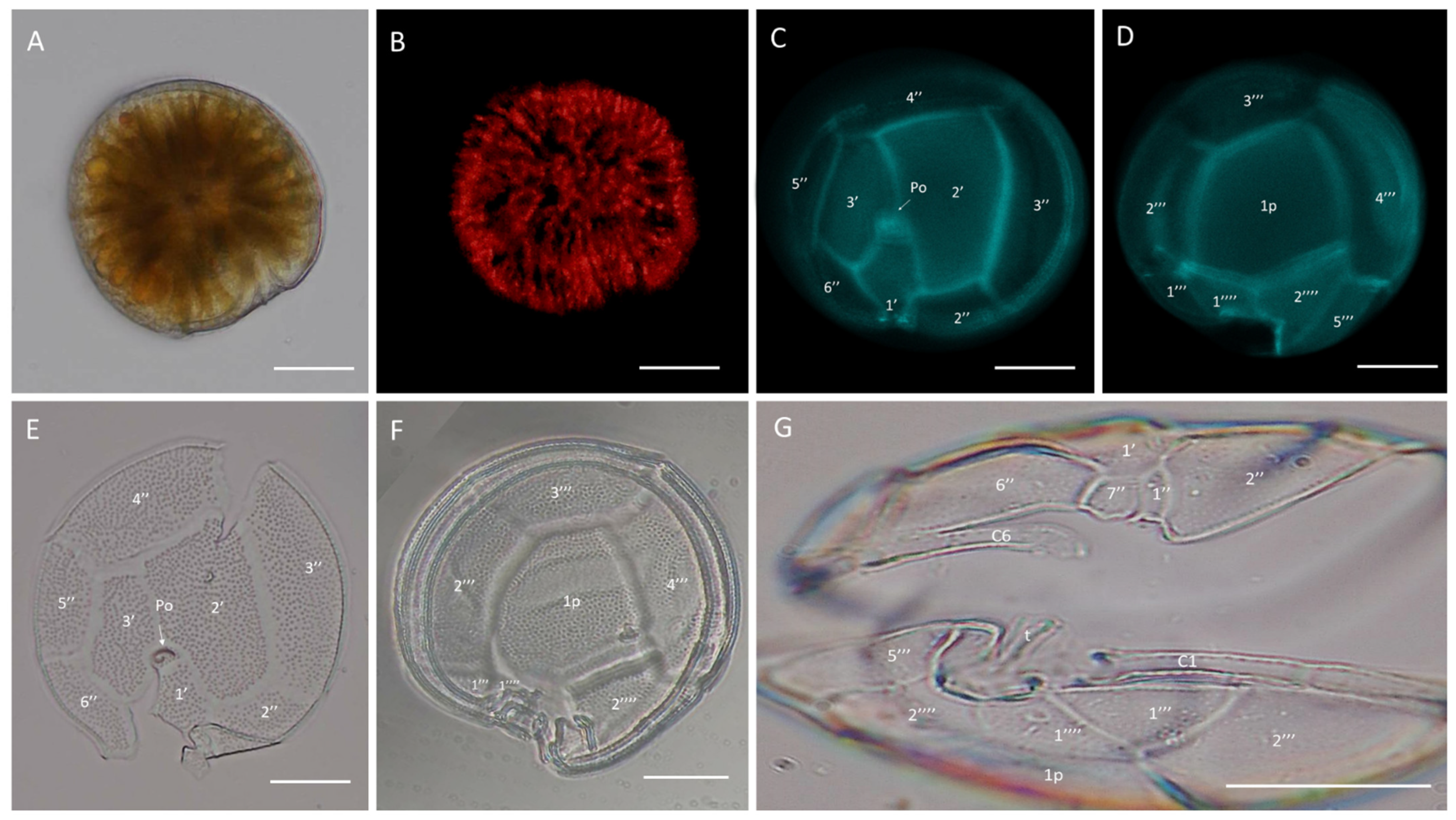 Marinedrugs 22 00422 g001