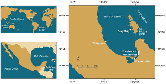 Marinedrugs 22 00422 g012