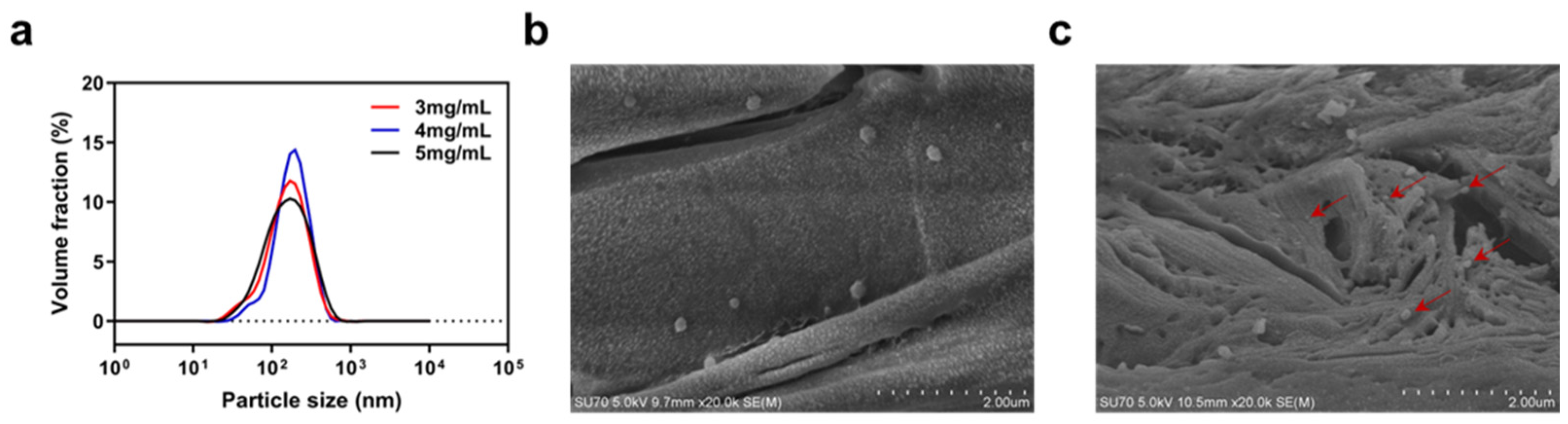 Marinedrugs 22 00428 g001