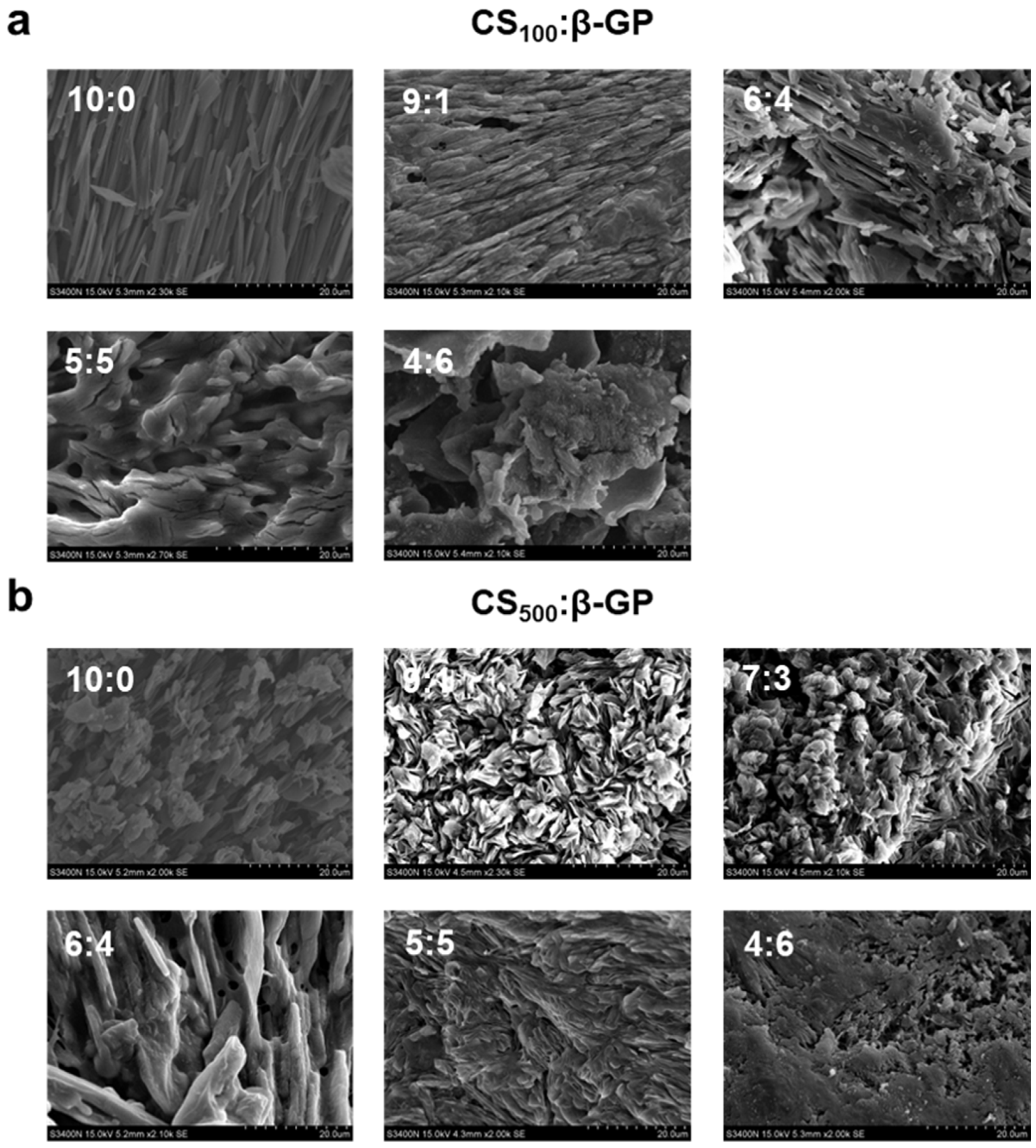 Marinedrugs 22 00428 g006