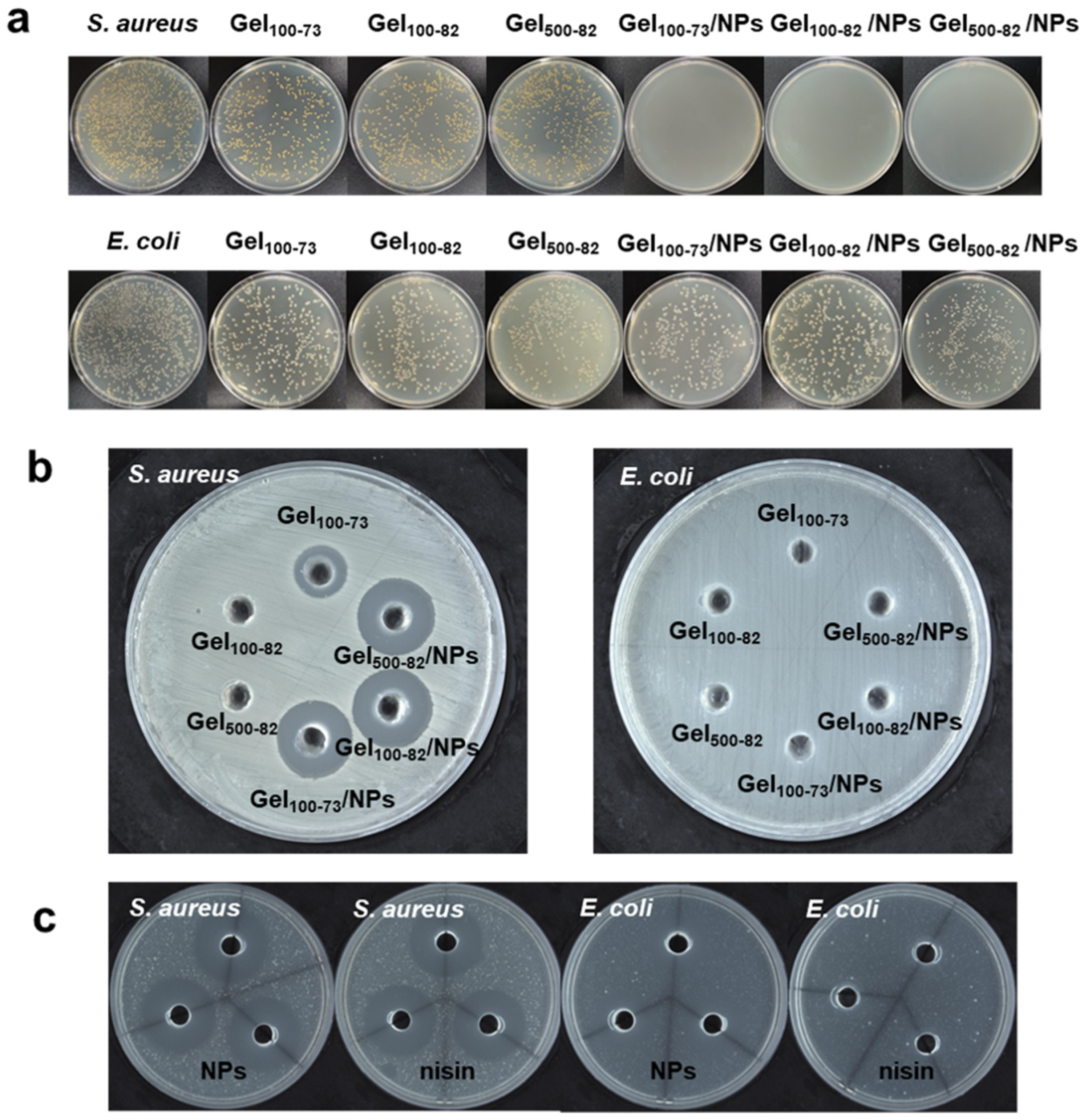 Marinedrugs 22 00428 g008