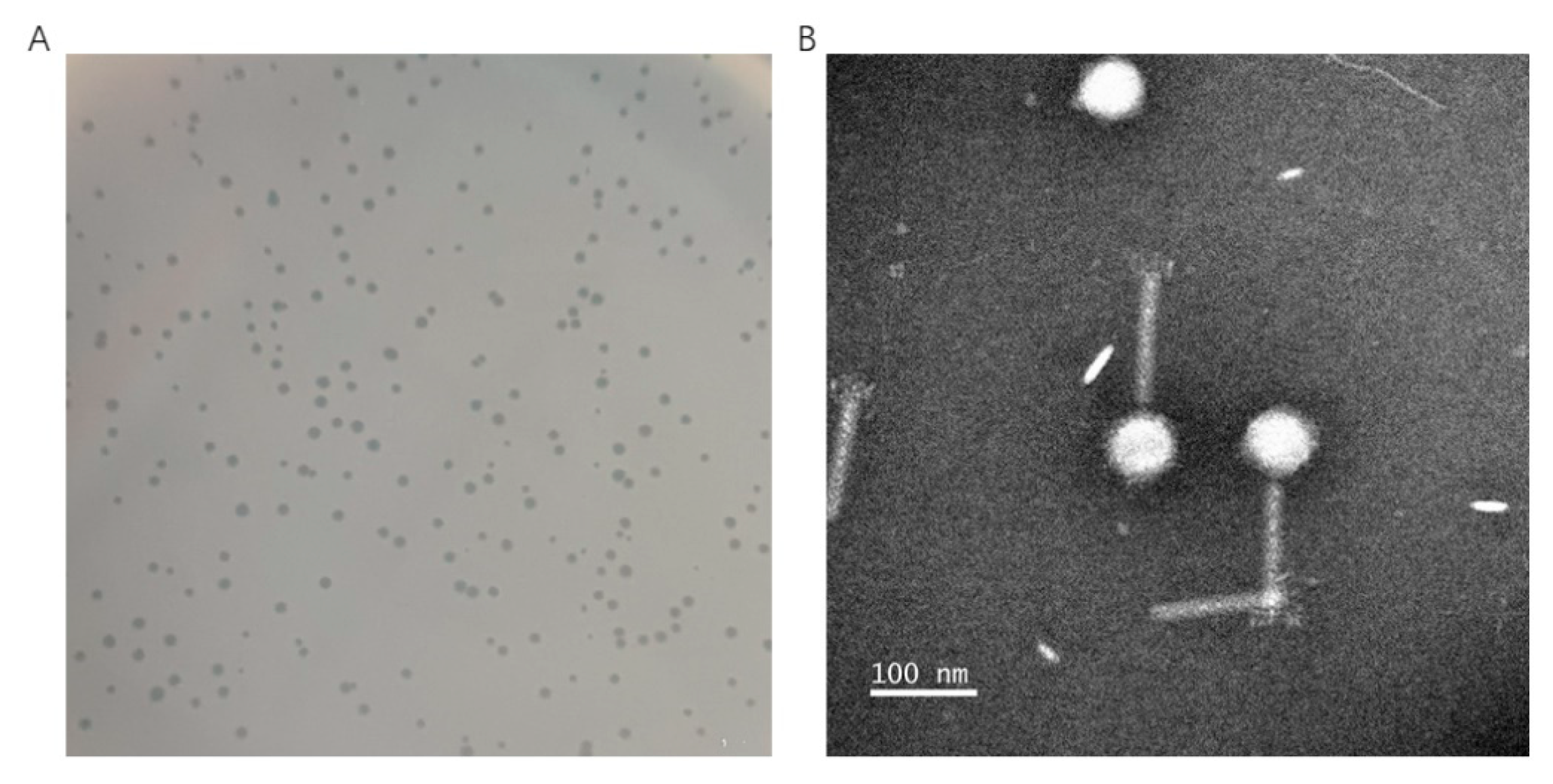 Marinedrugs 22 00429 g001