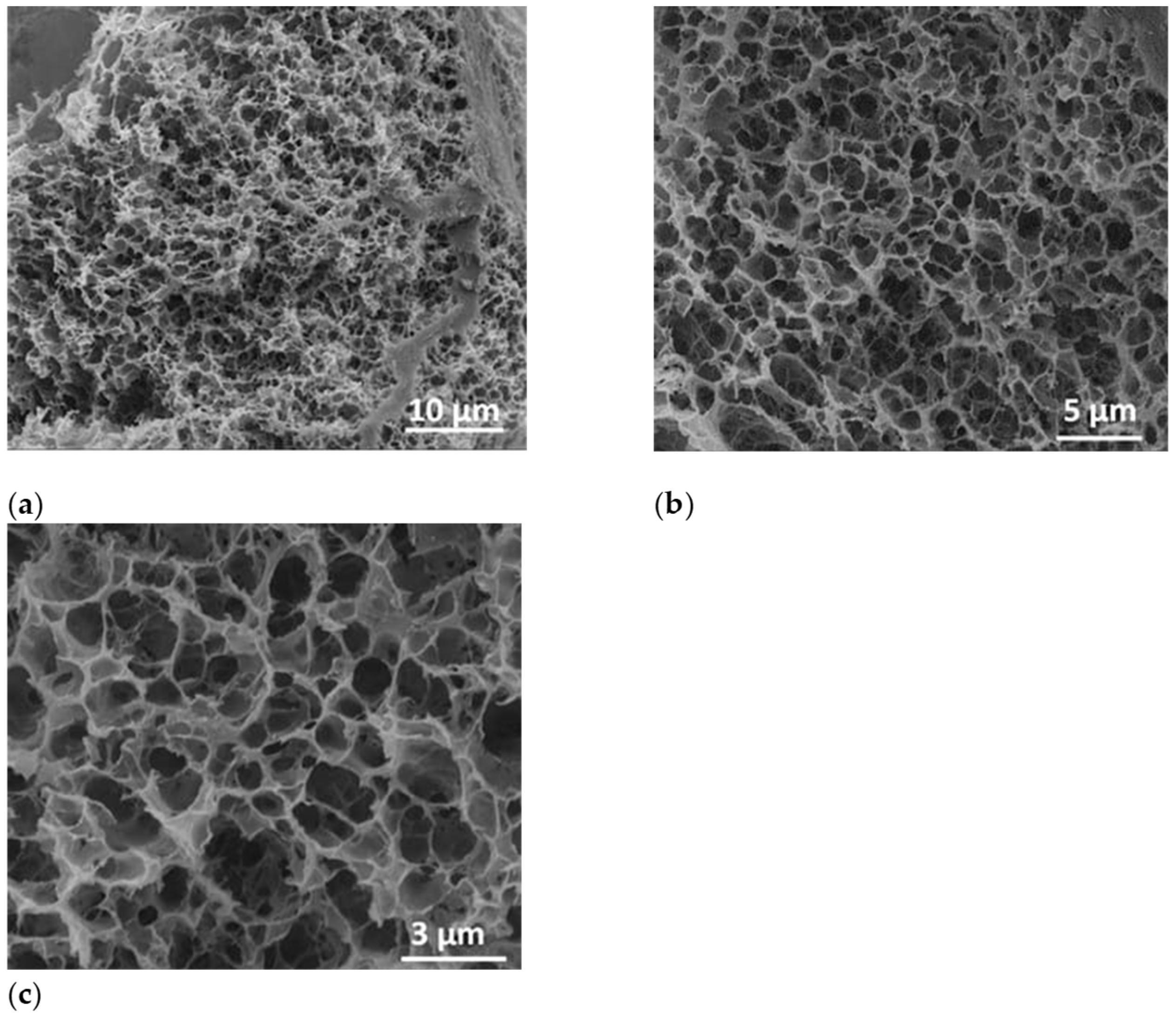 Marinedrugs 22 00434 g007