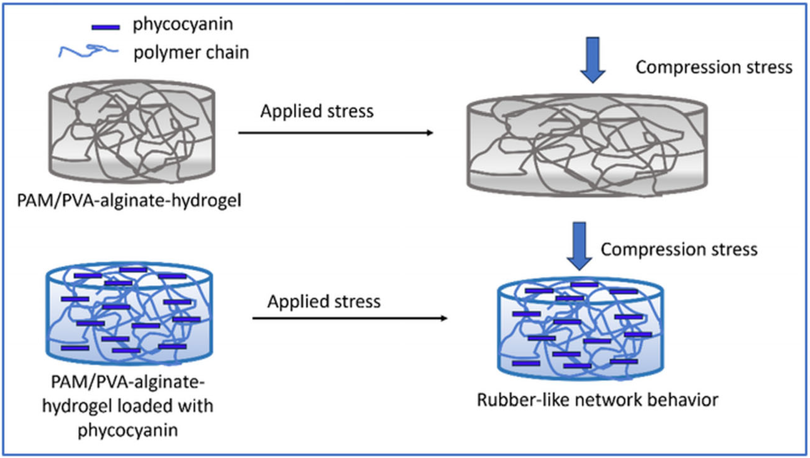 Marinedrugs 22 00434 sch001