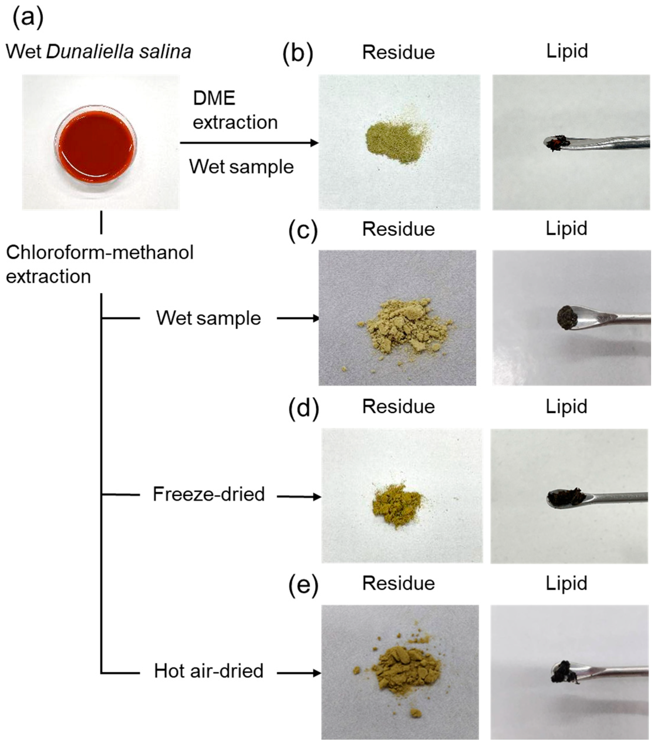 Marinedrugs 22 00438 g002