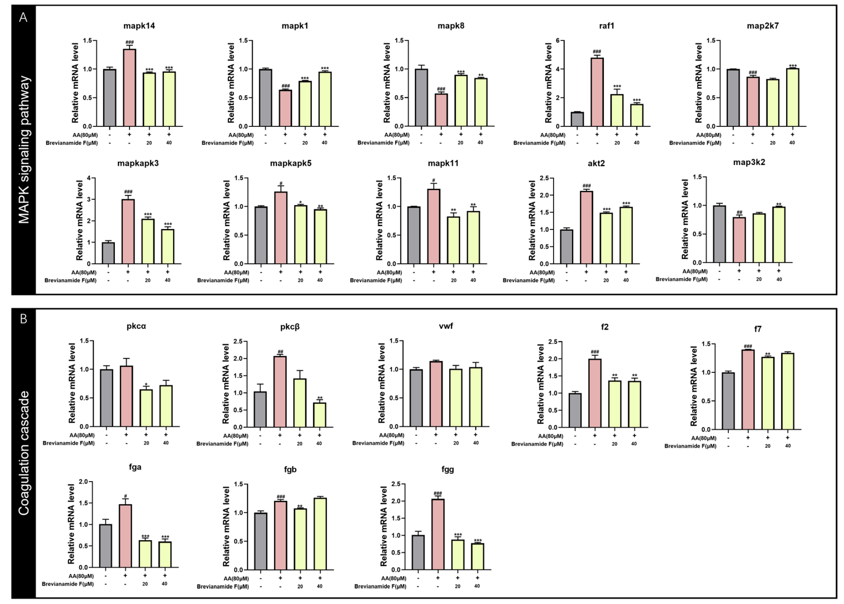 Marinedrugs 22 00439 g008