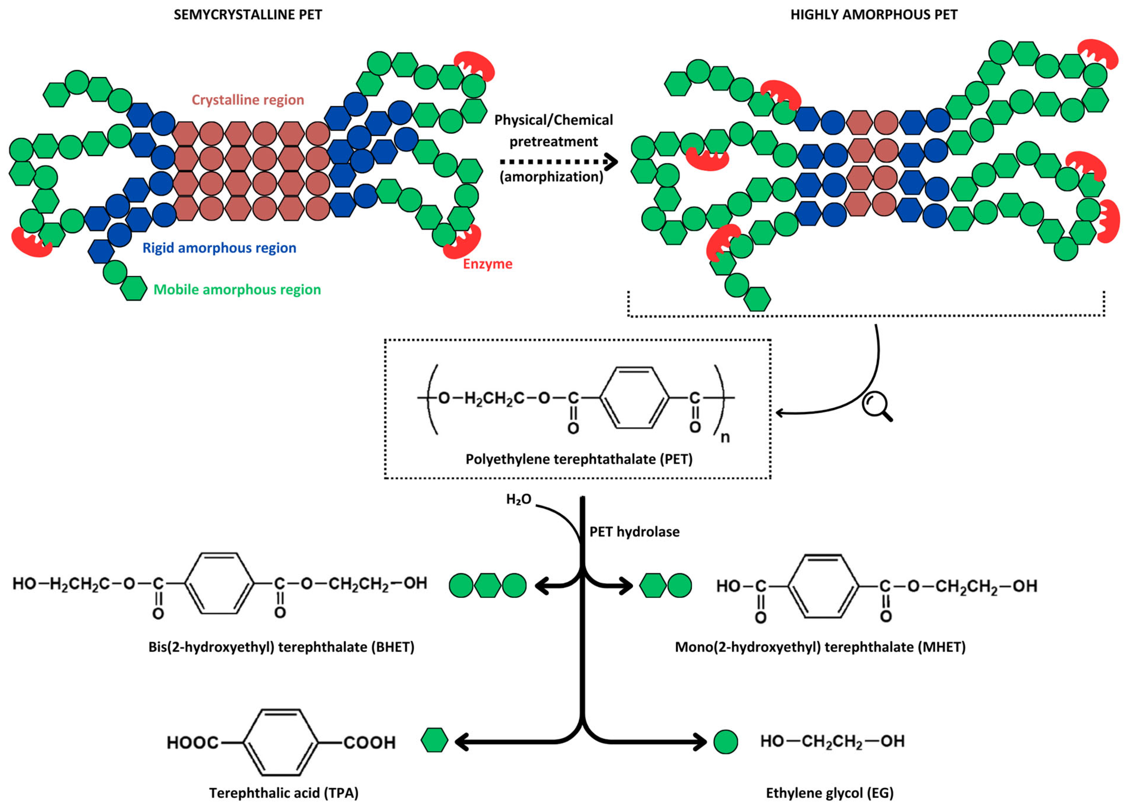 Marinedrugs 22 00441 g002