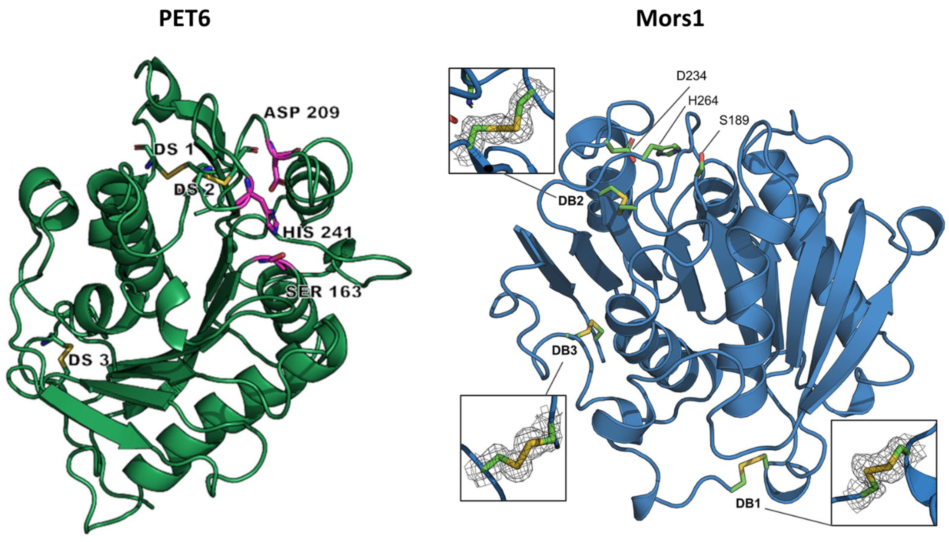 Marinedrugs 22 00441 g004