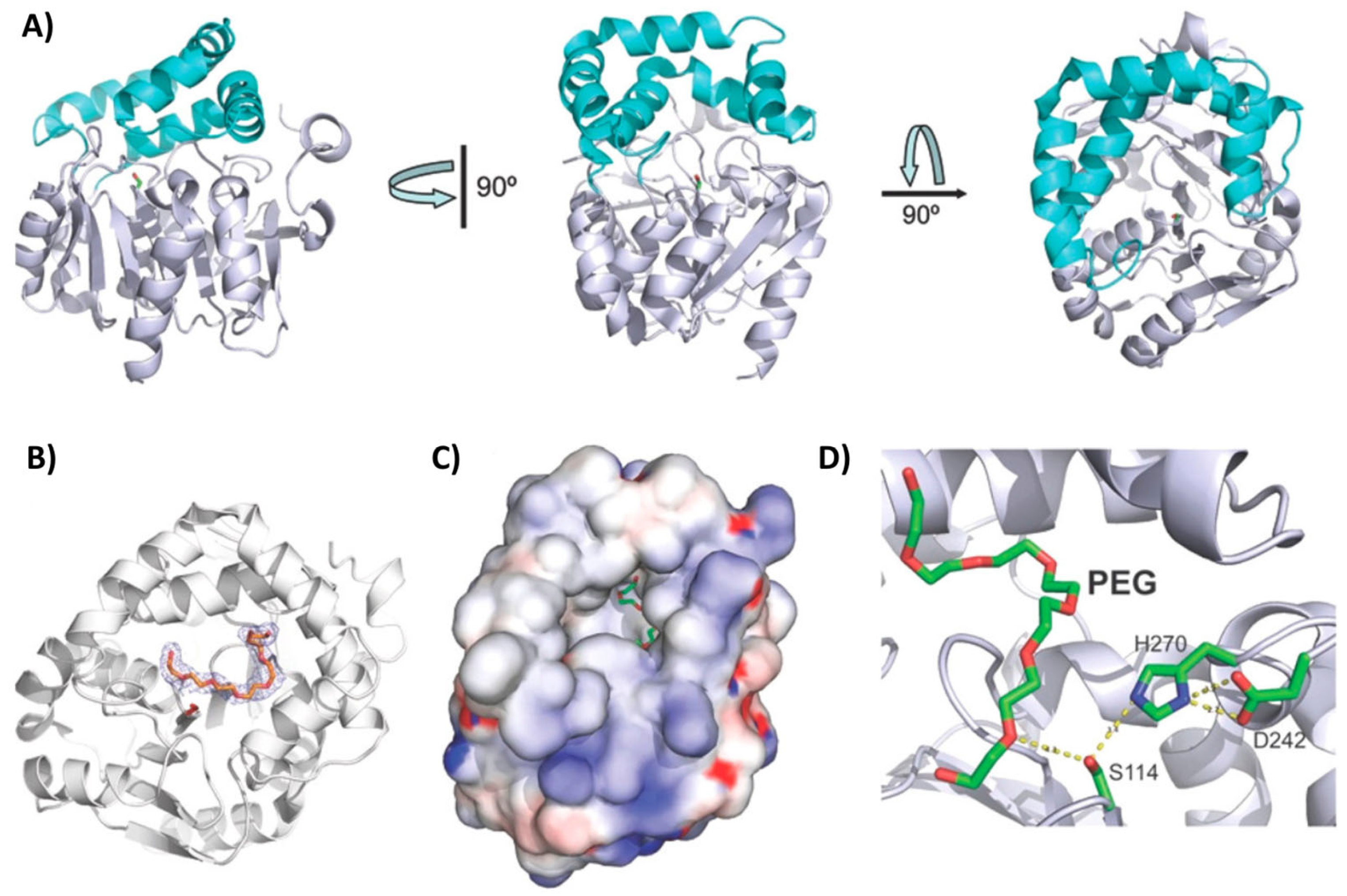 Marinedrugs 22 00441 g007