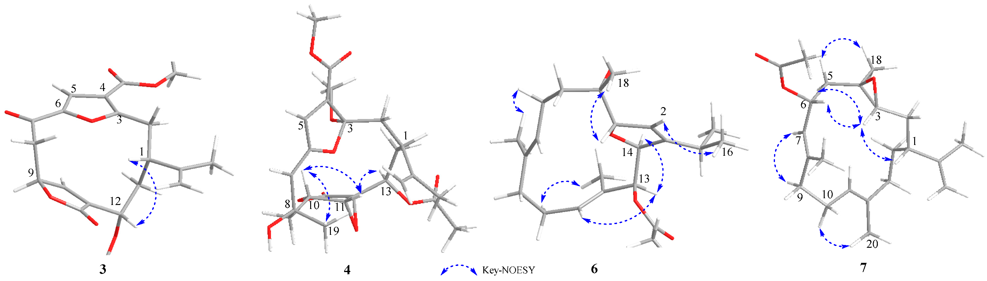 Marinedrugs 22 00442 g004
