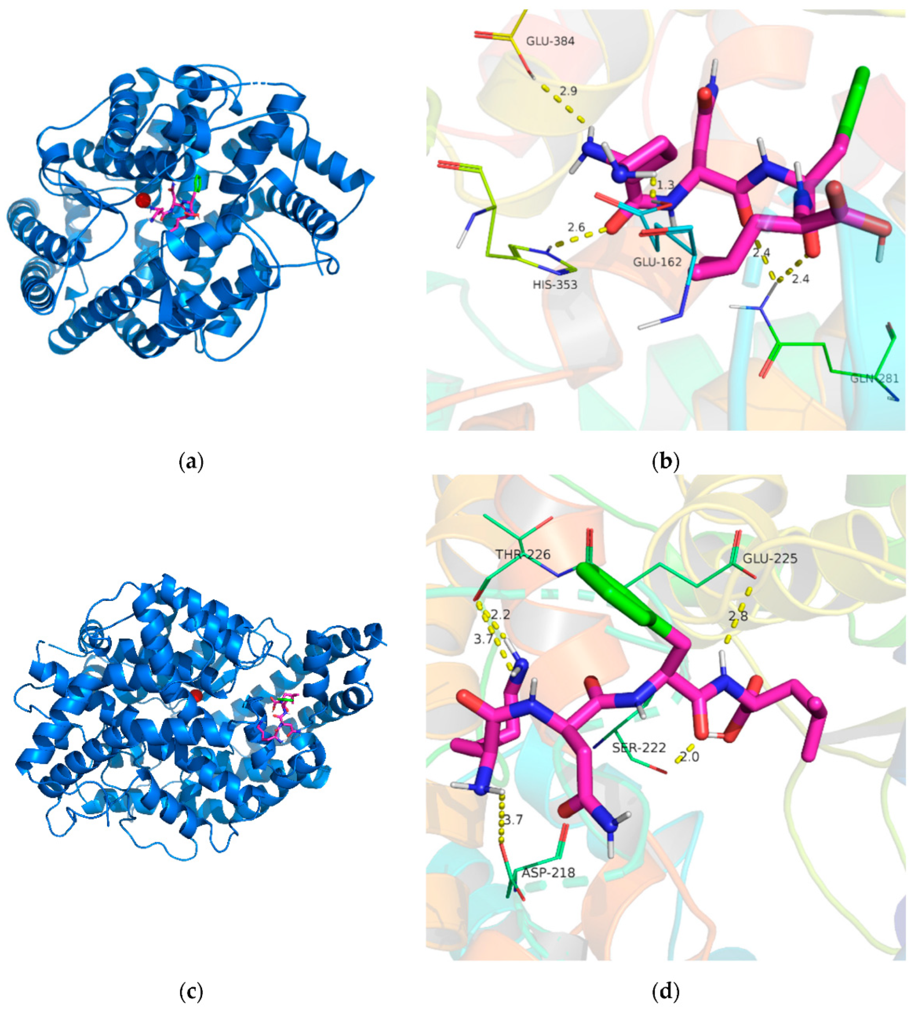 Marinedrugs 22 00449 g007