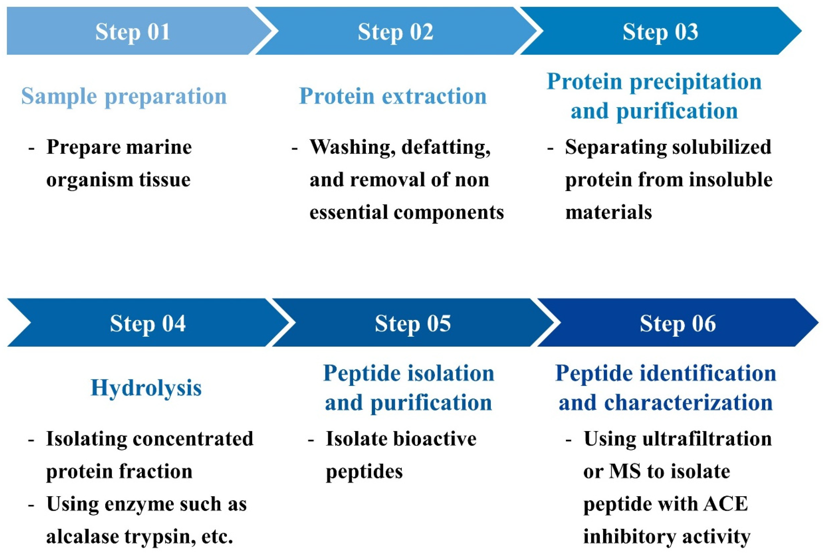Marinedrugs 22 00449 g008