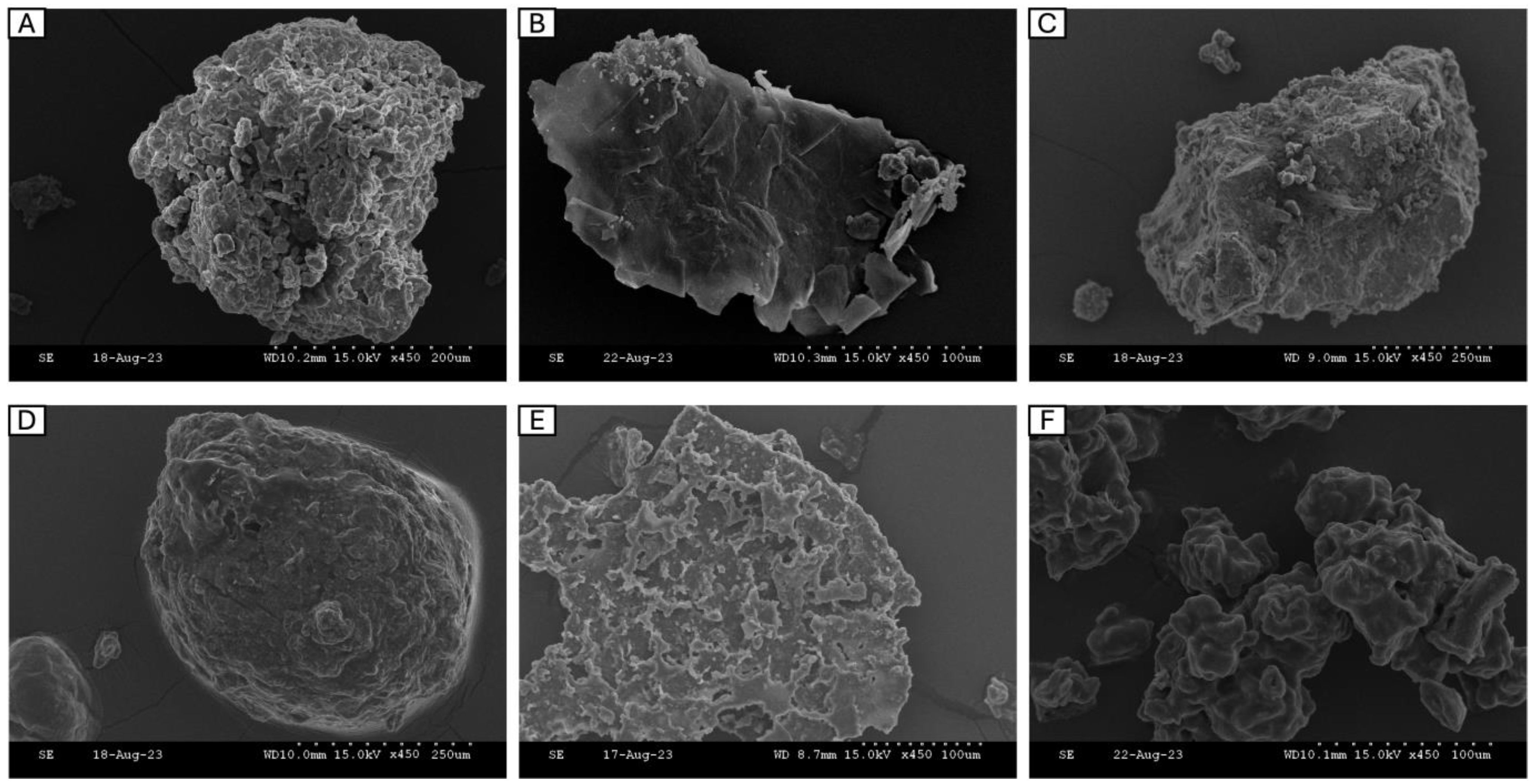 Marinedrugs 22 00452 g003 Marinedrugs 22 00452 g003