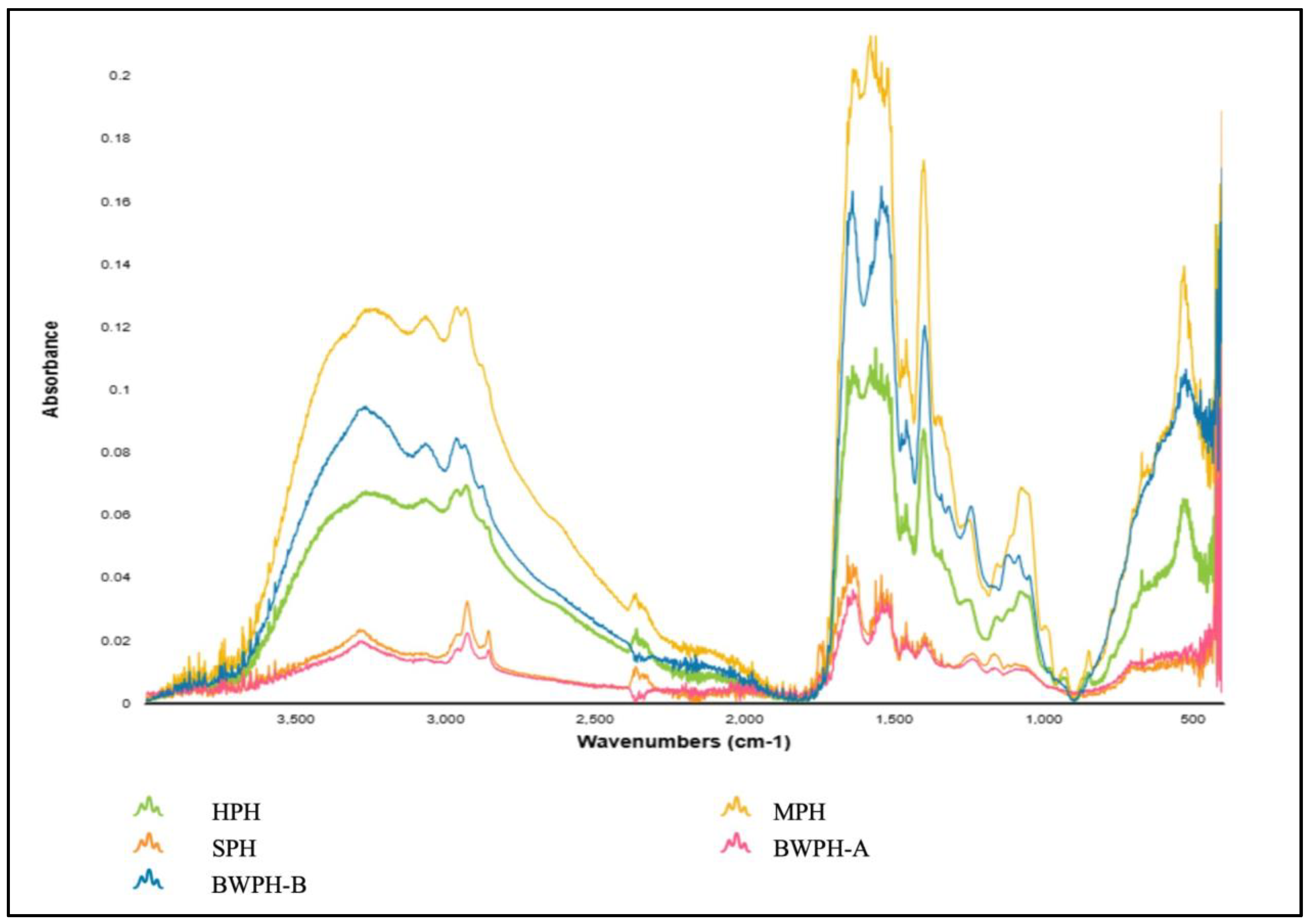 Marinedrugs 22 00452 g004 Marinedrugs 22 00452 g004