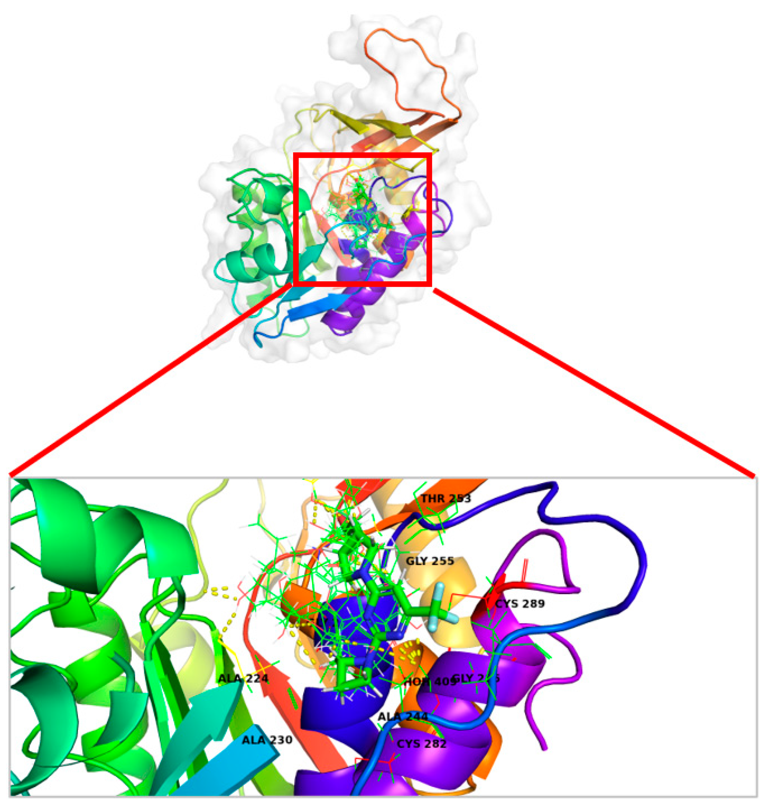 Marinedrugs 22 00455 g007