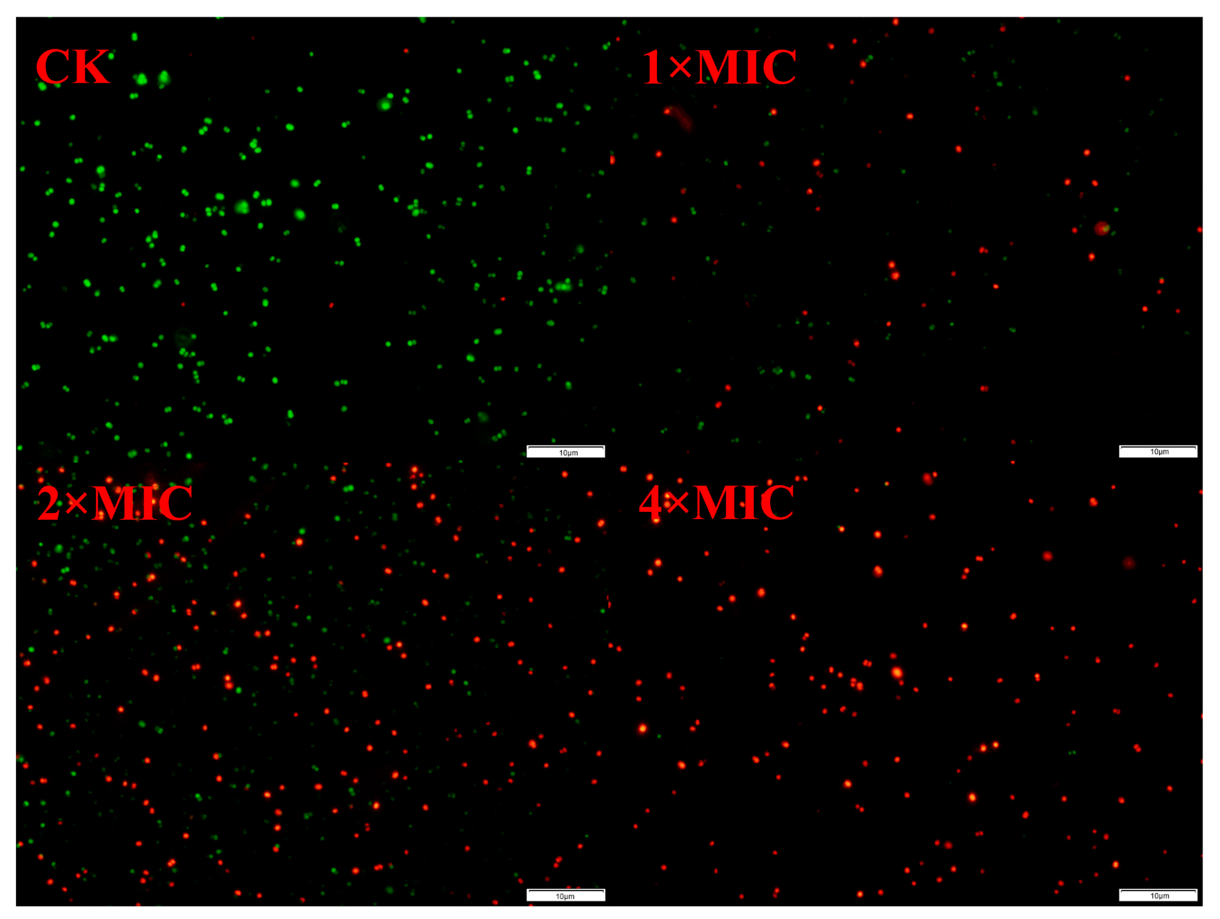 Marinedrugs 22 00463 g003
