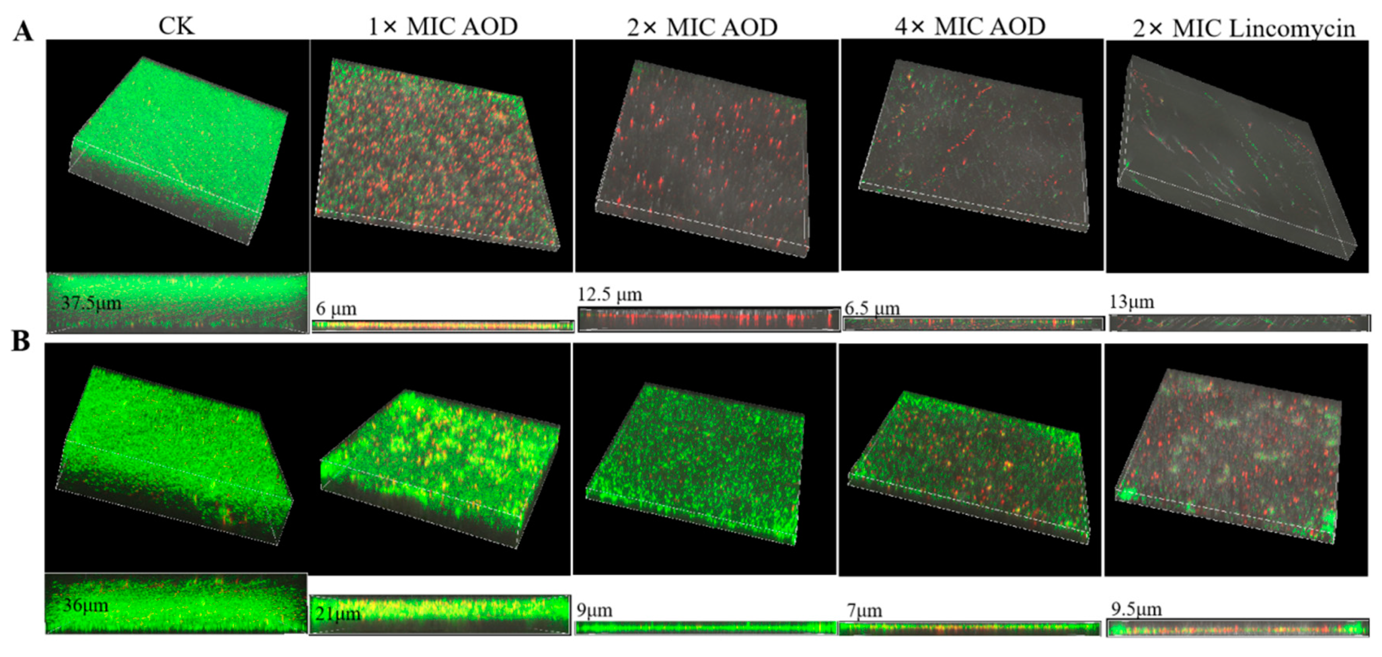Marinedrugs 22 00463 g006